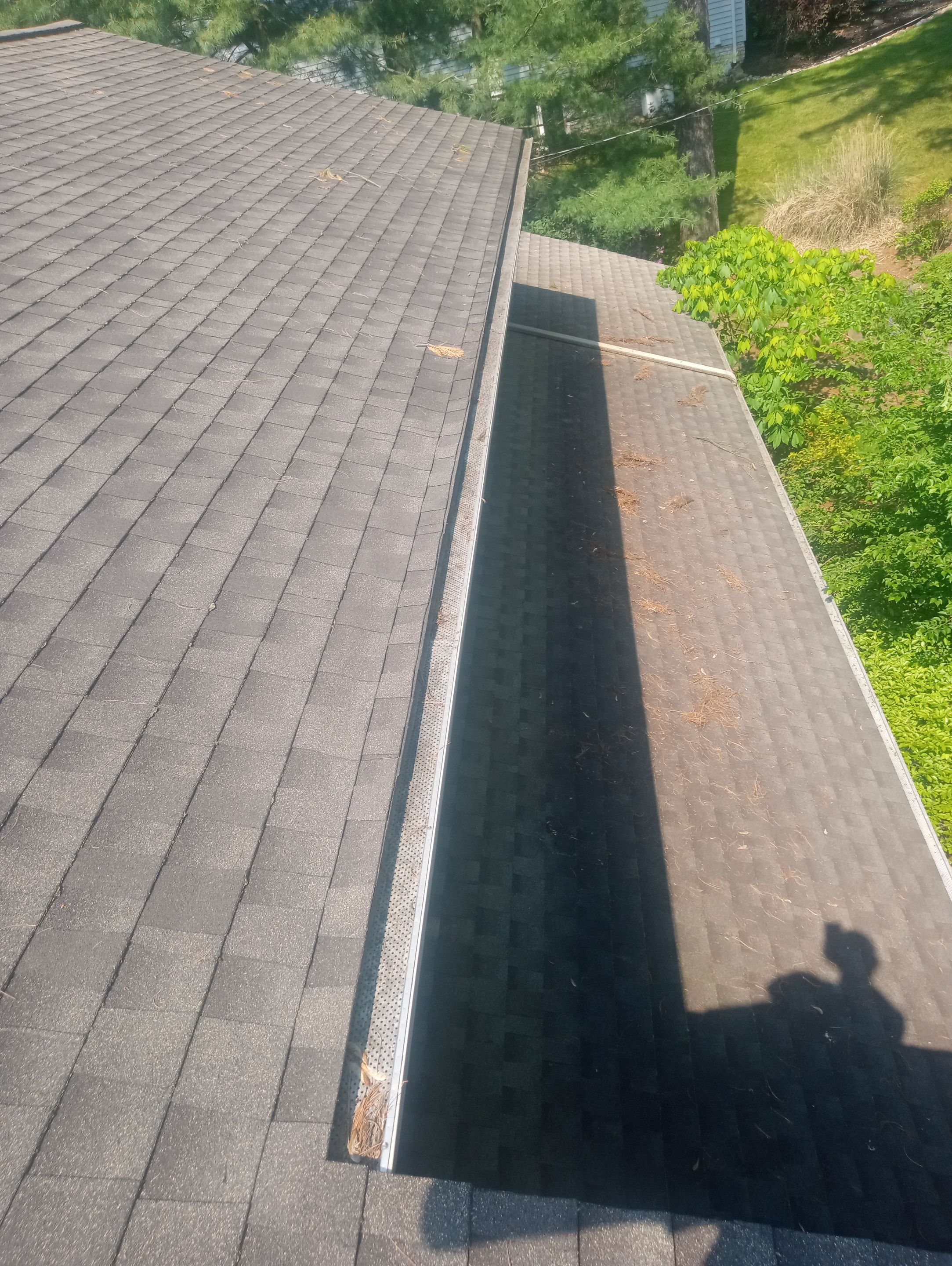 Jessica Rosson by Silver Leaf Contracting 