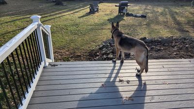 Custom Deck Build & Outdoor Transformation – MoistureShield Cathedral Stone