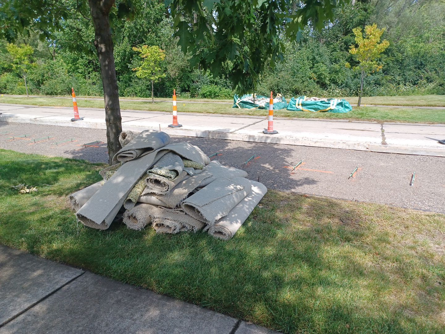 Project in Novi by EzDry Water Mitigation & Property Restoration