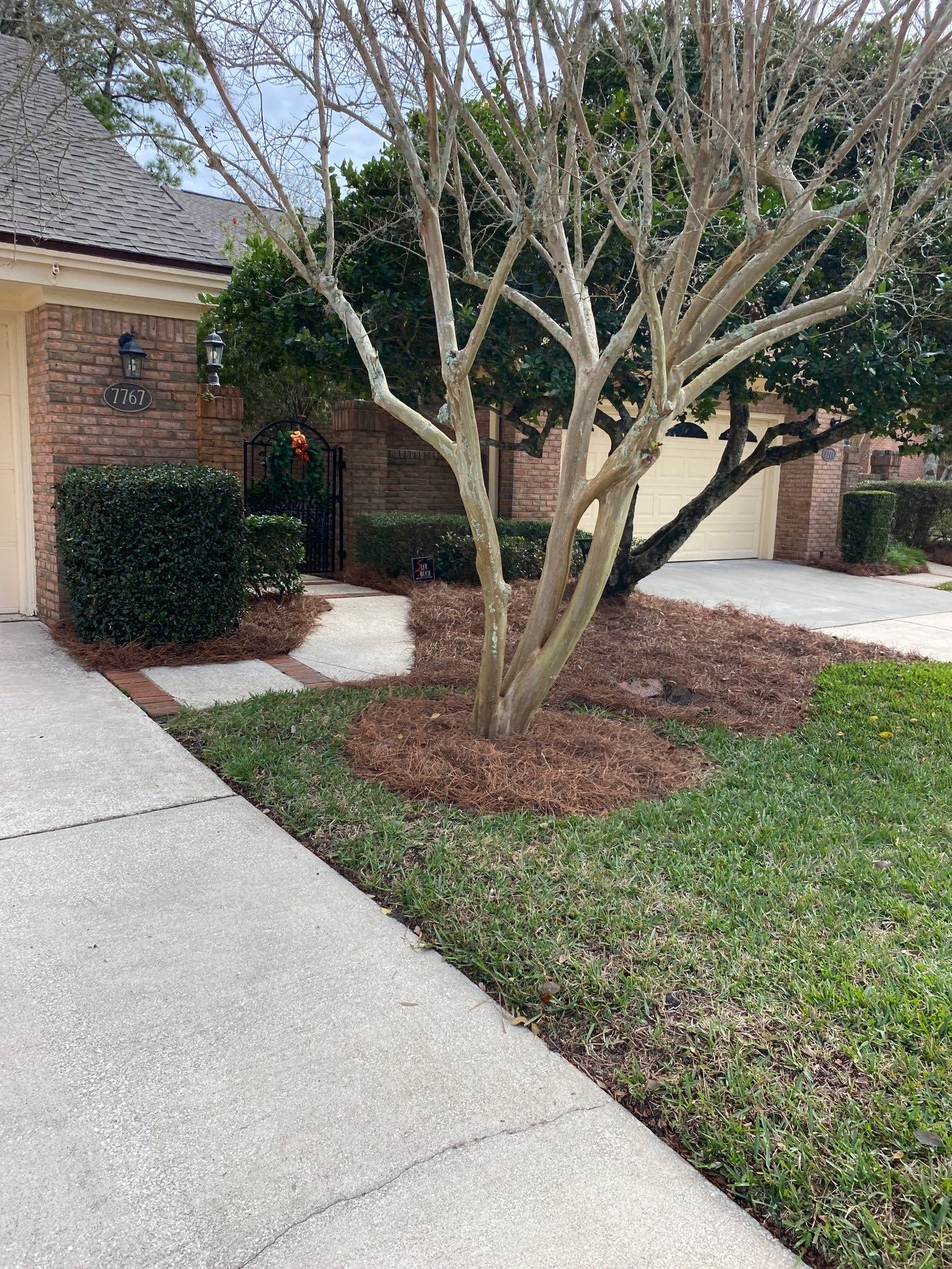 Deerwood Pointe | Tree Removal & Pine Straw Installation by ProGreen Services