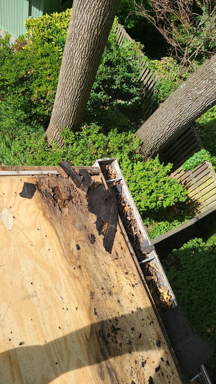 Arlington: CertainTeed Landmark Pro Designer Shingles in Max Def Heather Blend by RM Banning, Inc.