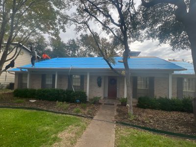 Project in Austin