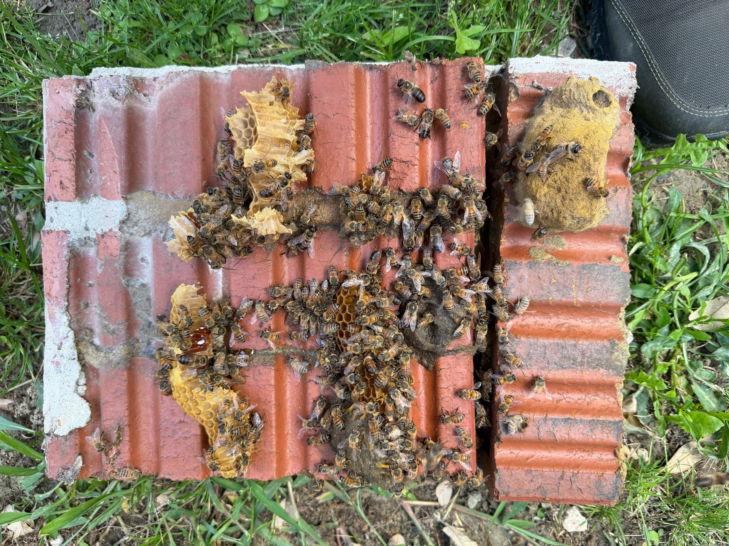 Brick Column by Rockwall Honey Bee Company