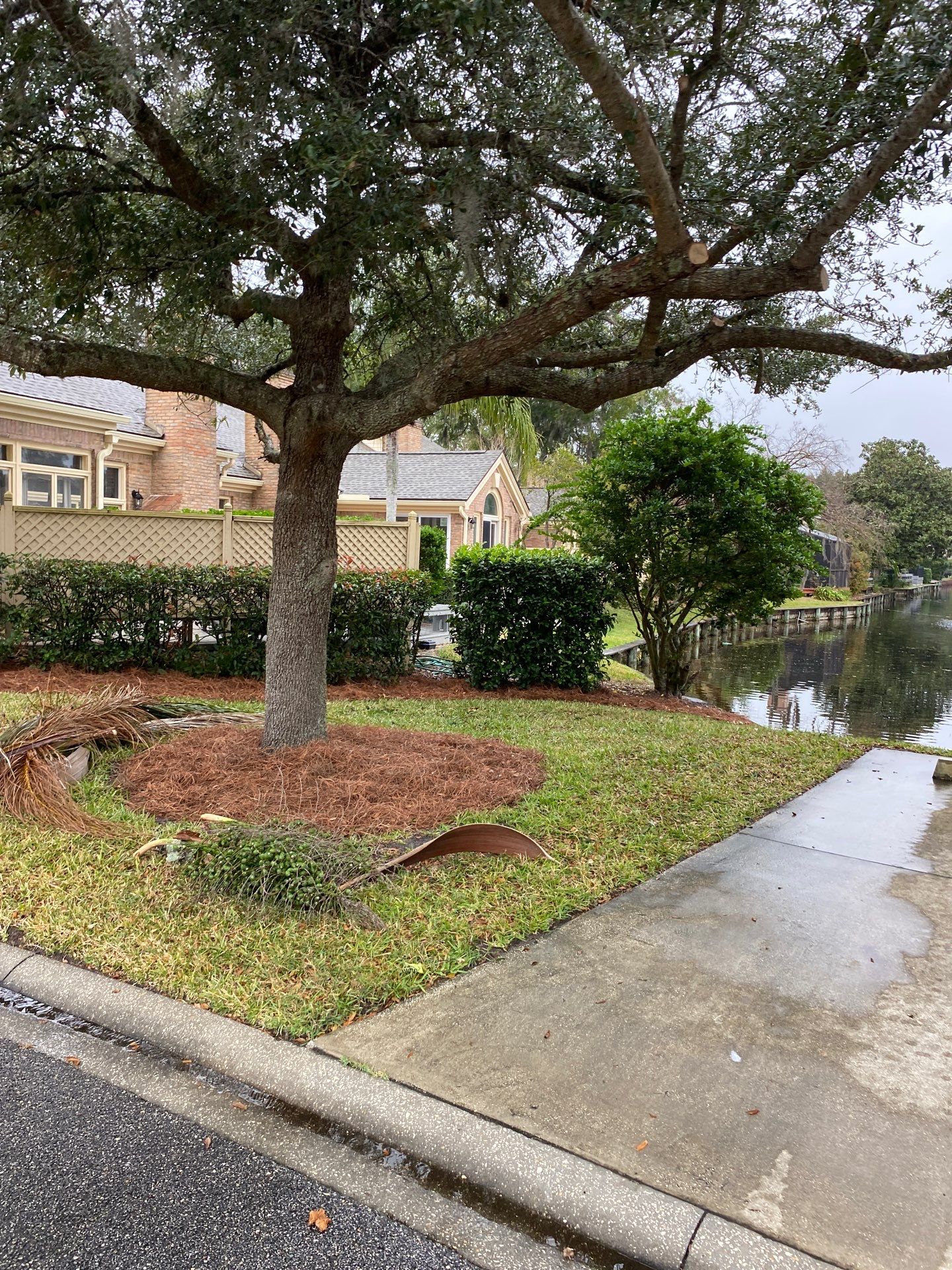 Deerwood Pointe | Tree Removal & Pine Straw Installation by ProGreen Services