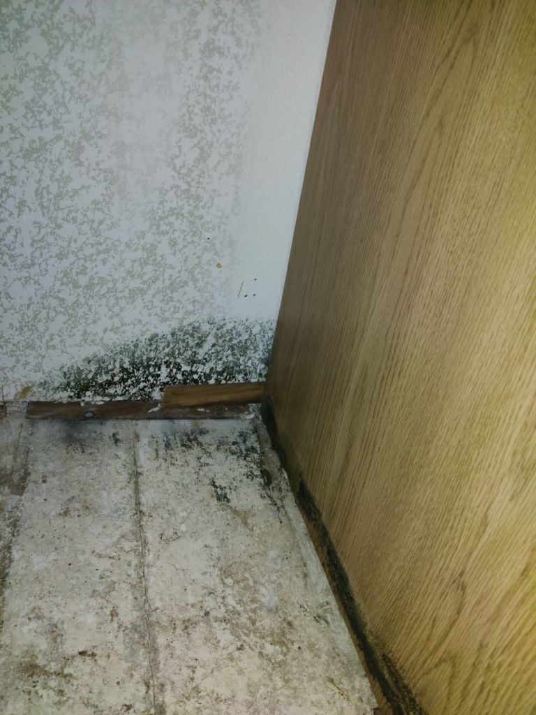 Mold Remediation in Kitchen by Accountable Home Services