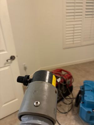 Emergency Water Extraction — Naples, FL