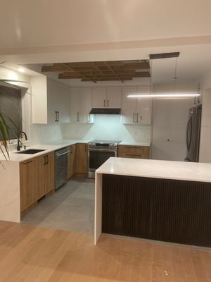 Full house renovation