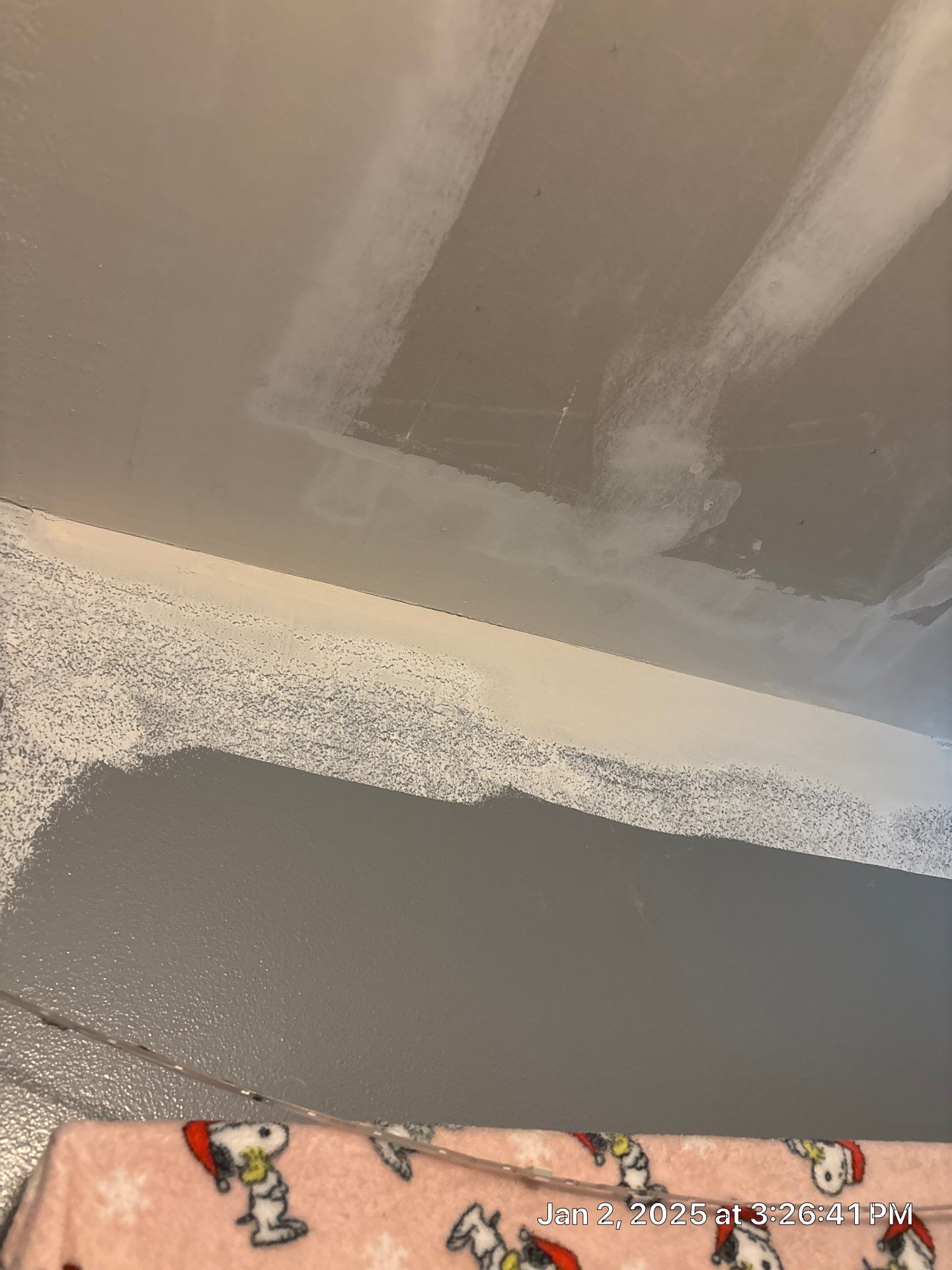 Pebble Springs Water Mold by Ampm Restoration Services