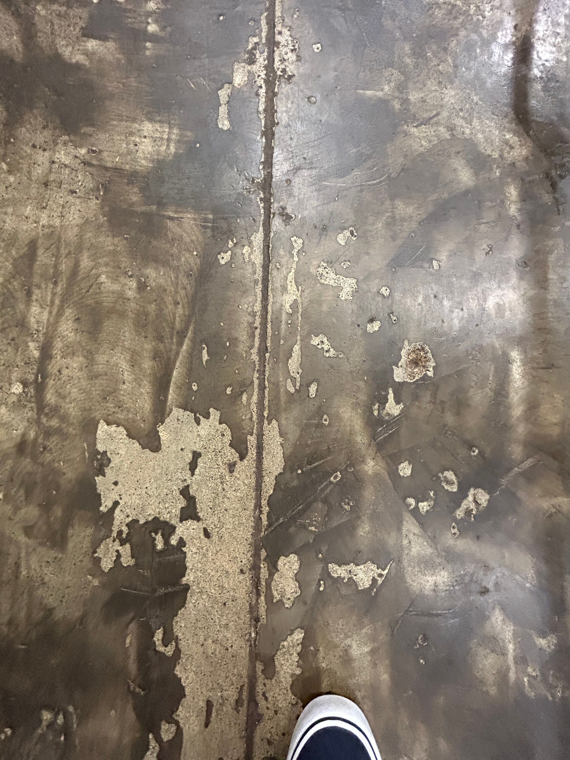 Doggy Daycare Refresh! by Revival Concrete Coatings