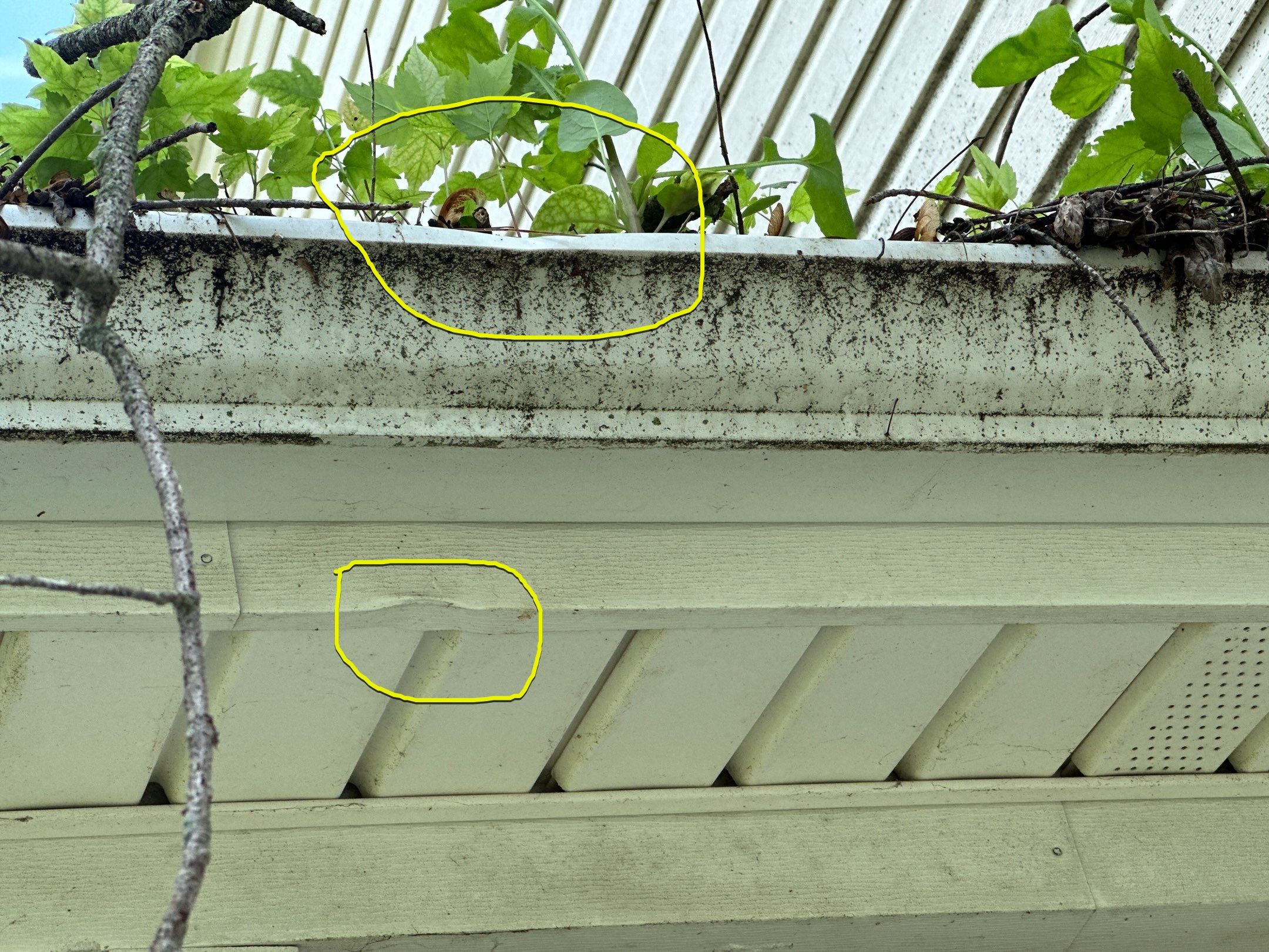 Jonathon Salmons Hail & Tree Damage Report by Constructive Project Management