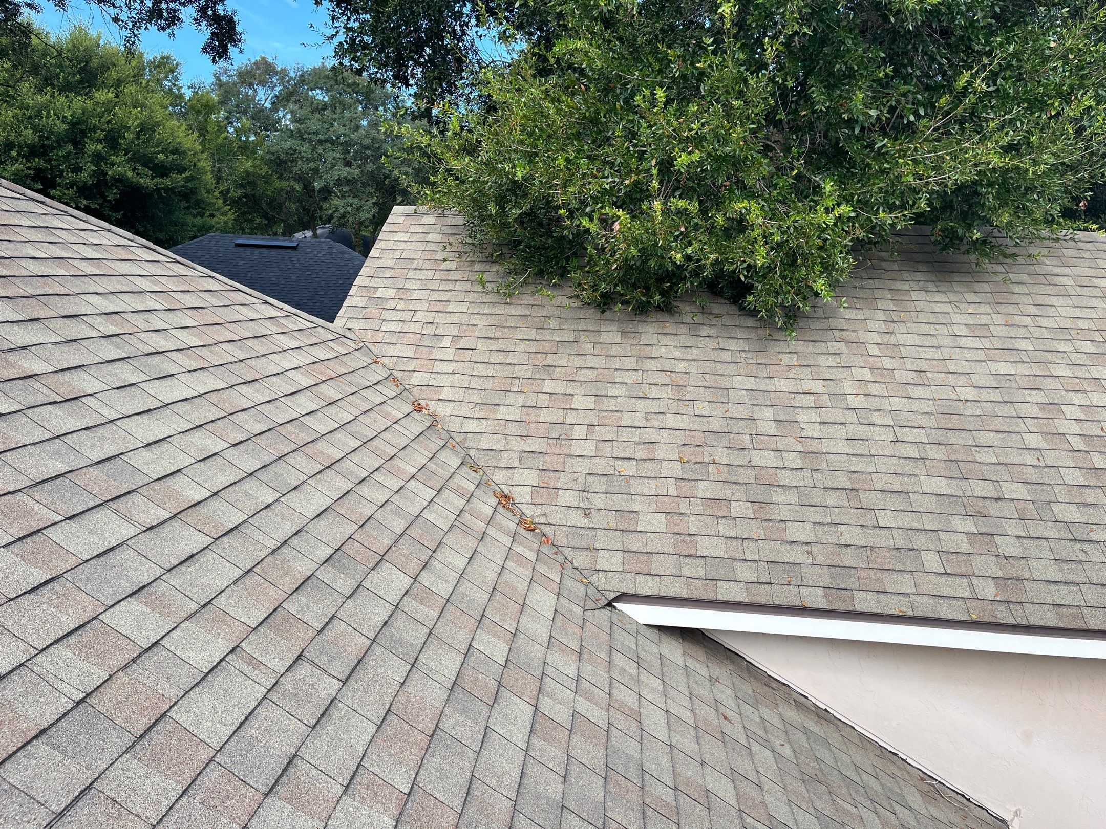 Shingle -> Shingle by Prime Roofing