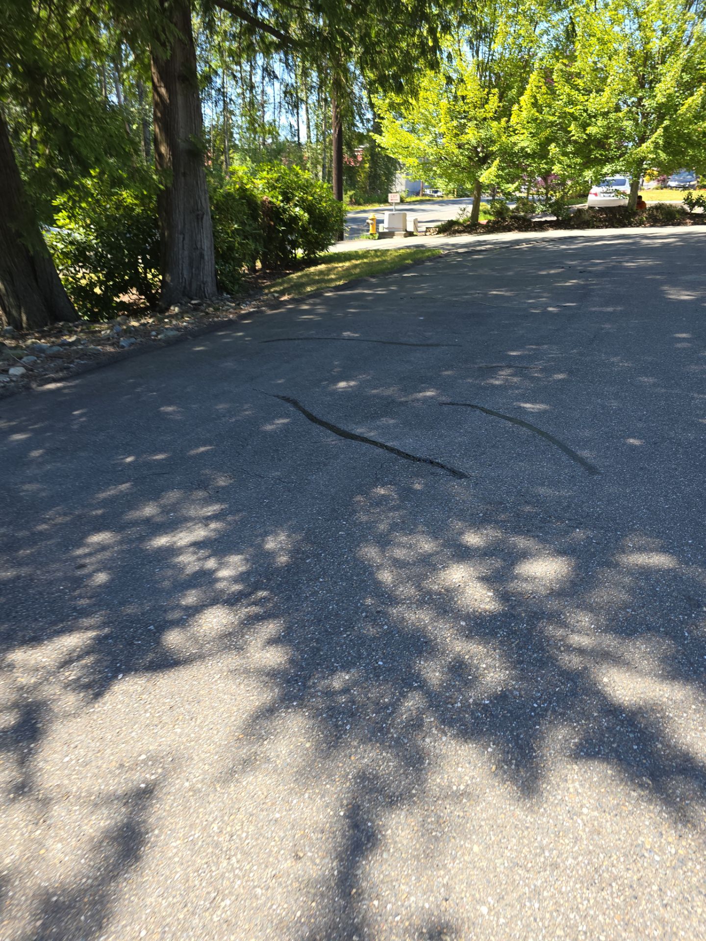 Jacob | Asphalt Striping   by Jireh Asphalt & Concrete Inc 
