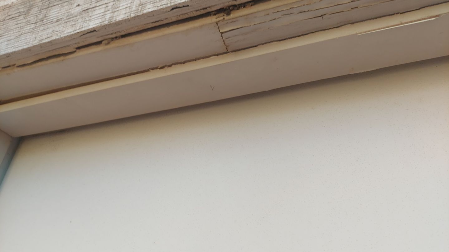 Exterior Painting - Gilbert by Crash of Rhinos Painting & Garage Floors