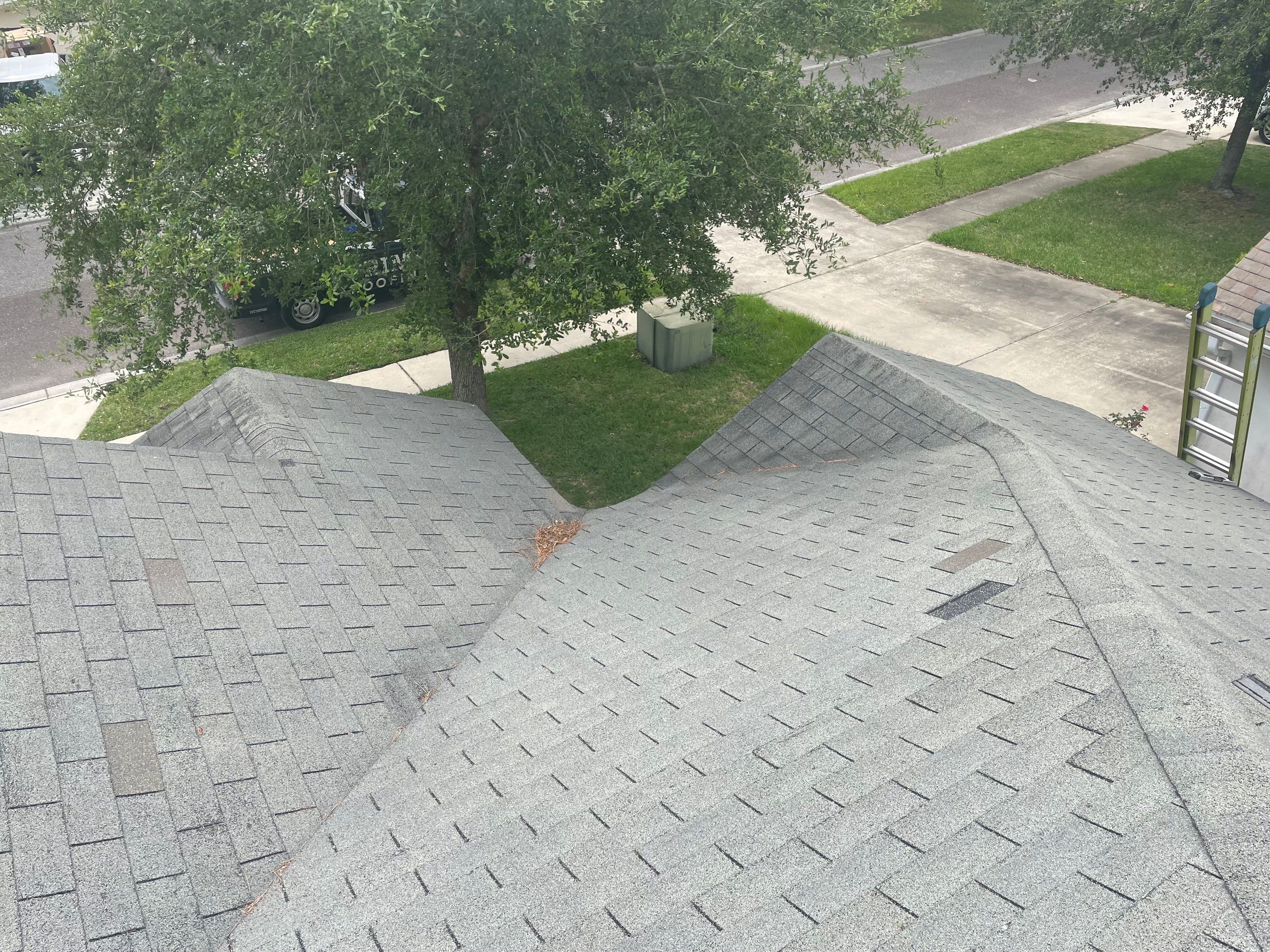 Shingle -> Shingle by Prime Roofing