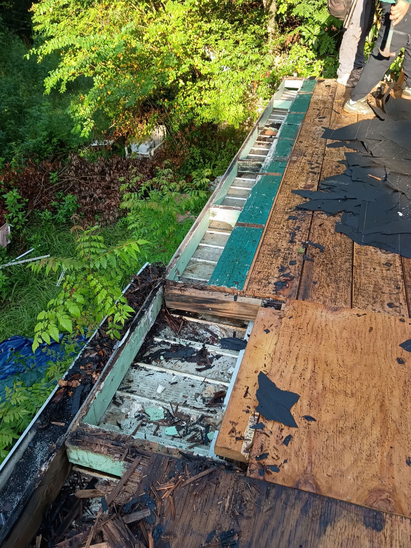 Tamko Titan Architectural Shingle Roof Installation in Lake Helen, Florida by Pinnacle Roofing Group