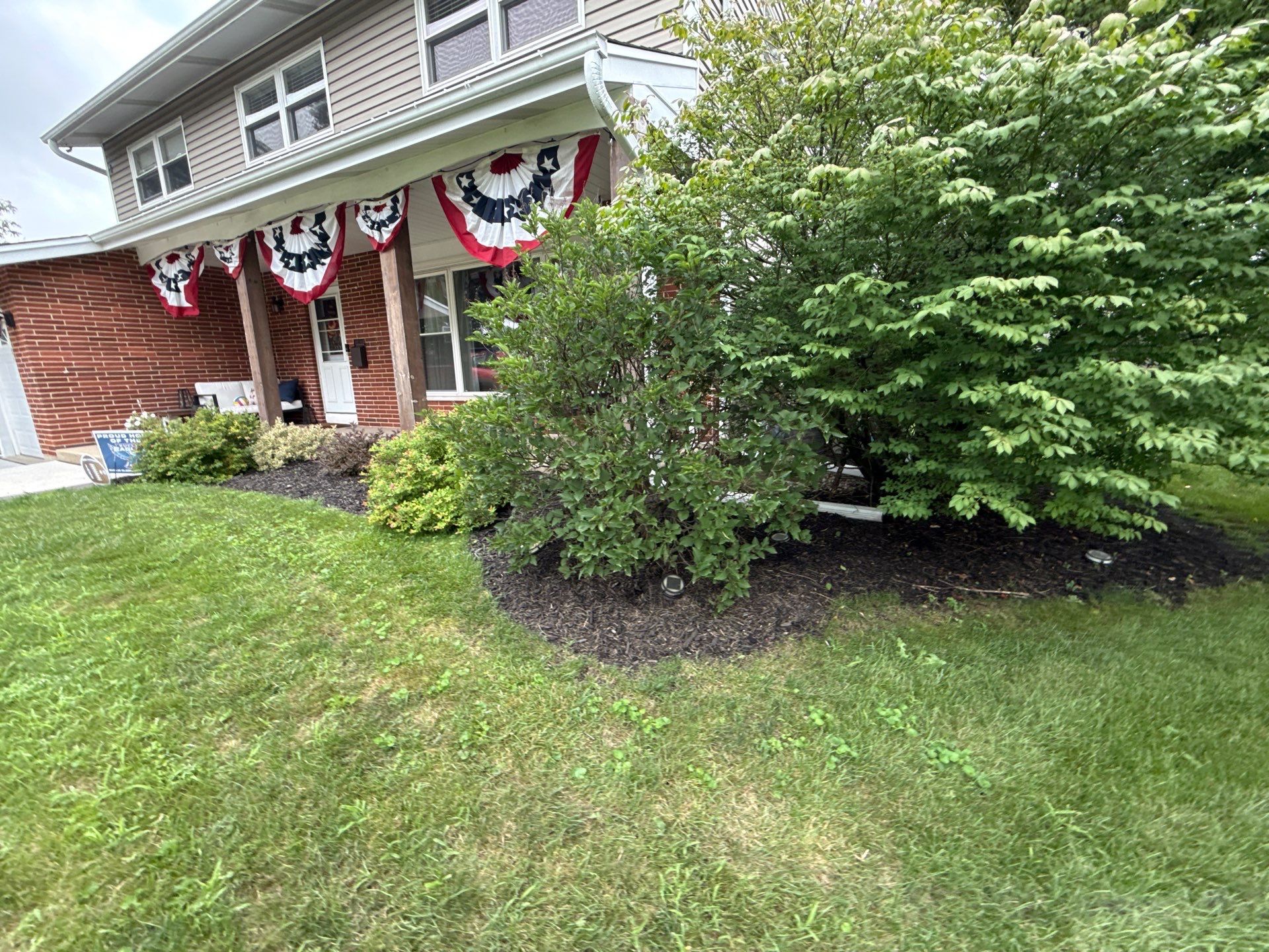 Renee K. - Mount Prospect, IL by A&N 