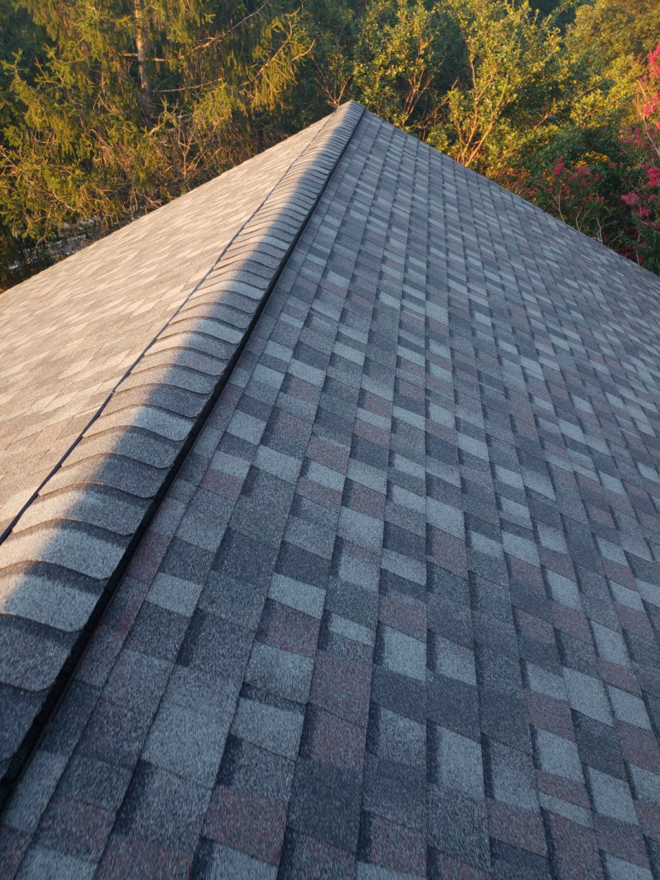 Alexandria: CertainTeed Landmark Pro Designer Shingles in Max Def Colonial Slate by RM Banning, Inc.