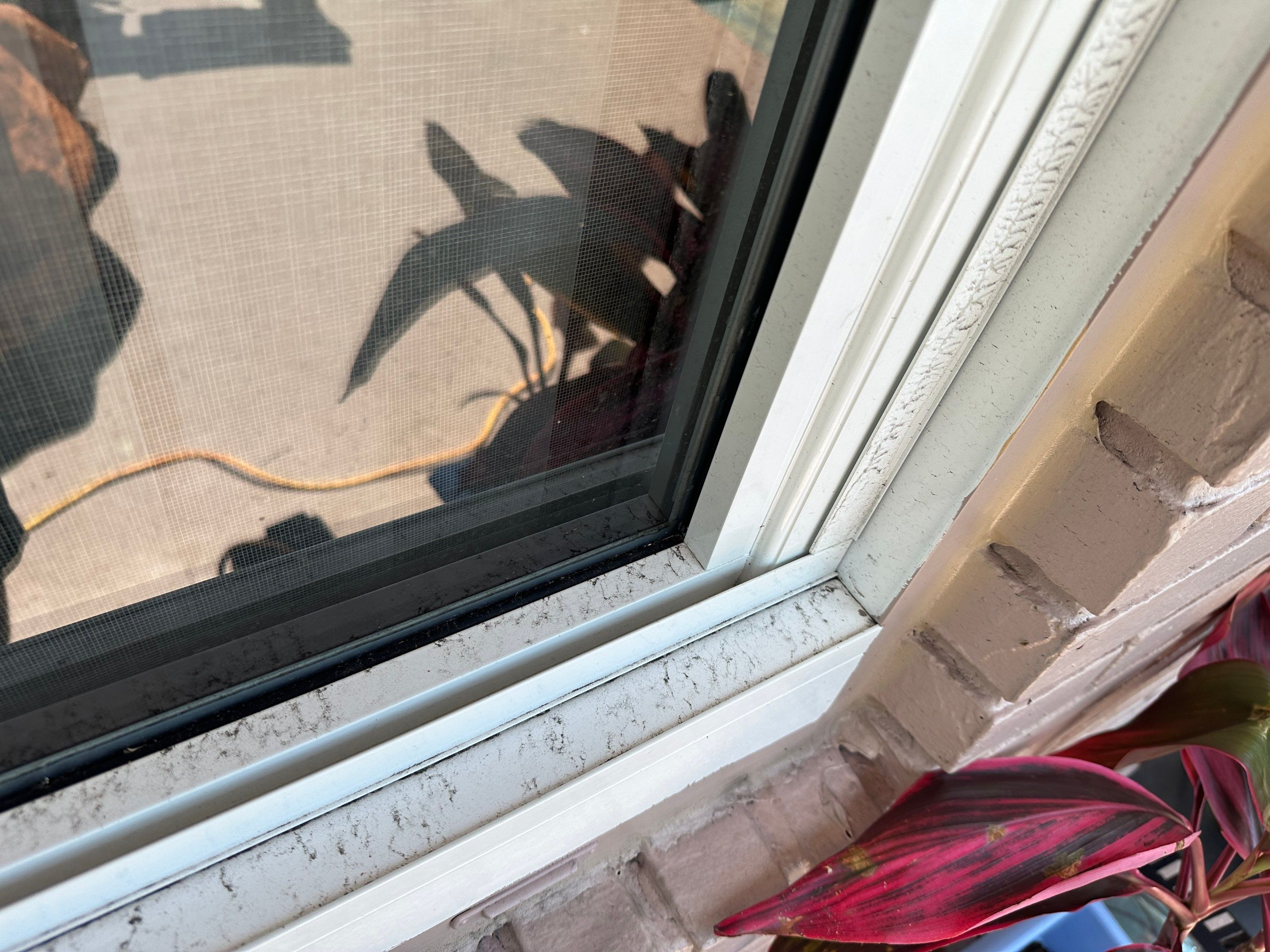 Water Damage Claim in Hallandale Beach by FLAPA & KeyStone