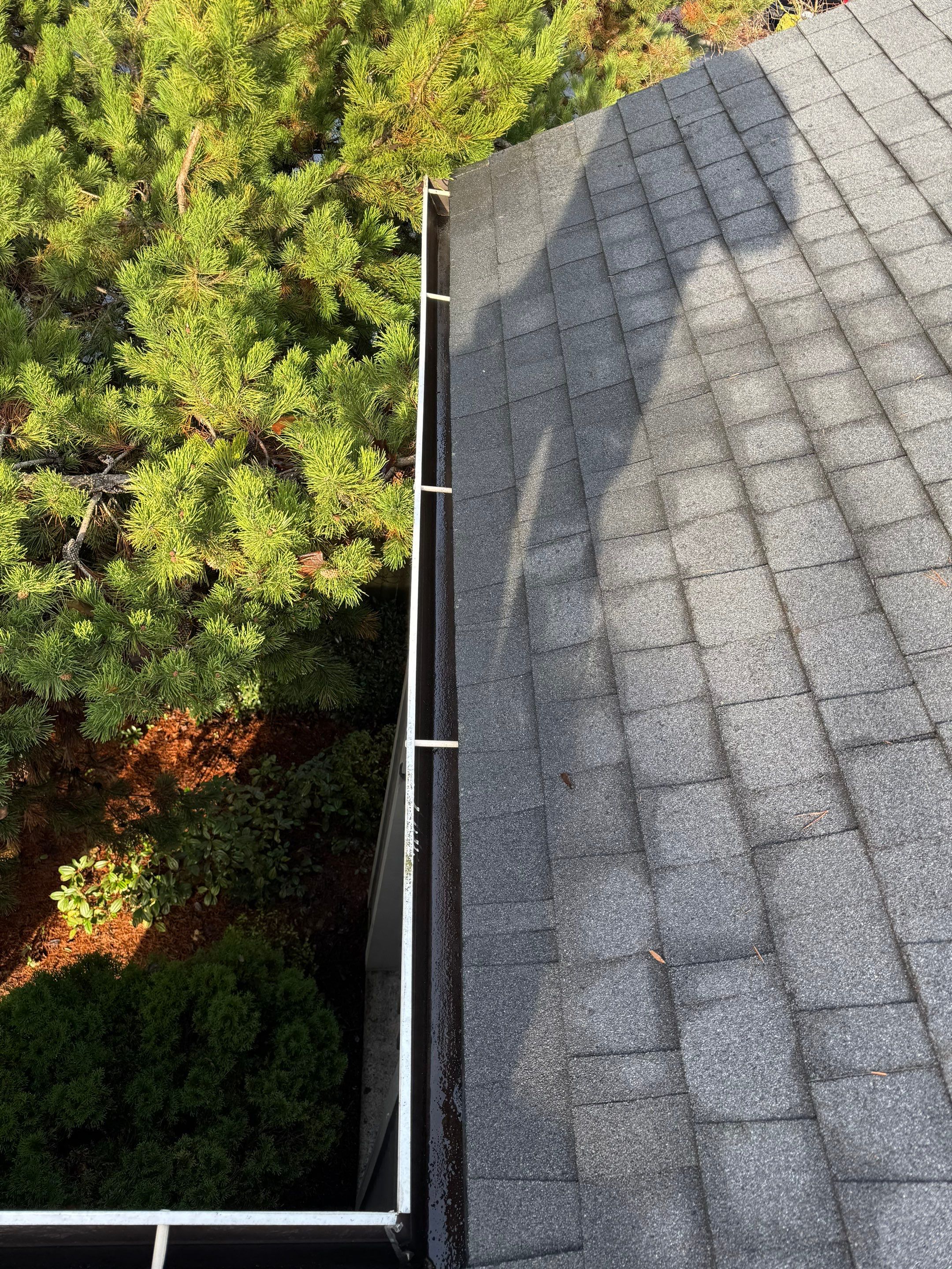 Commercial gutter cleaning Eugene after photo with clean gutters