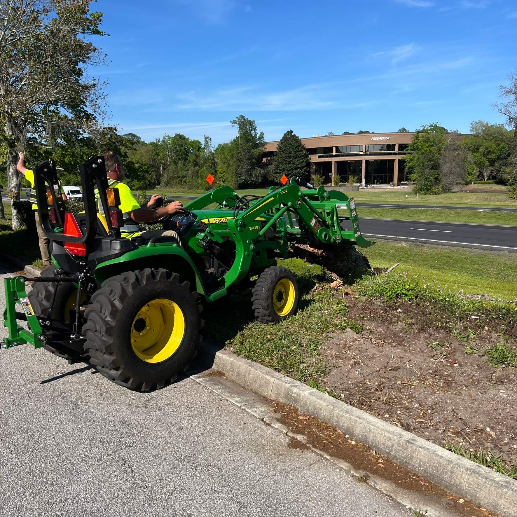 Tree Work | The Avenues Mall by ProGreen Services