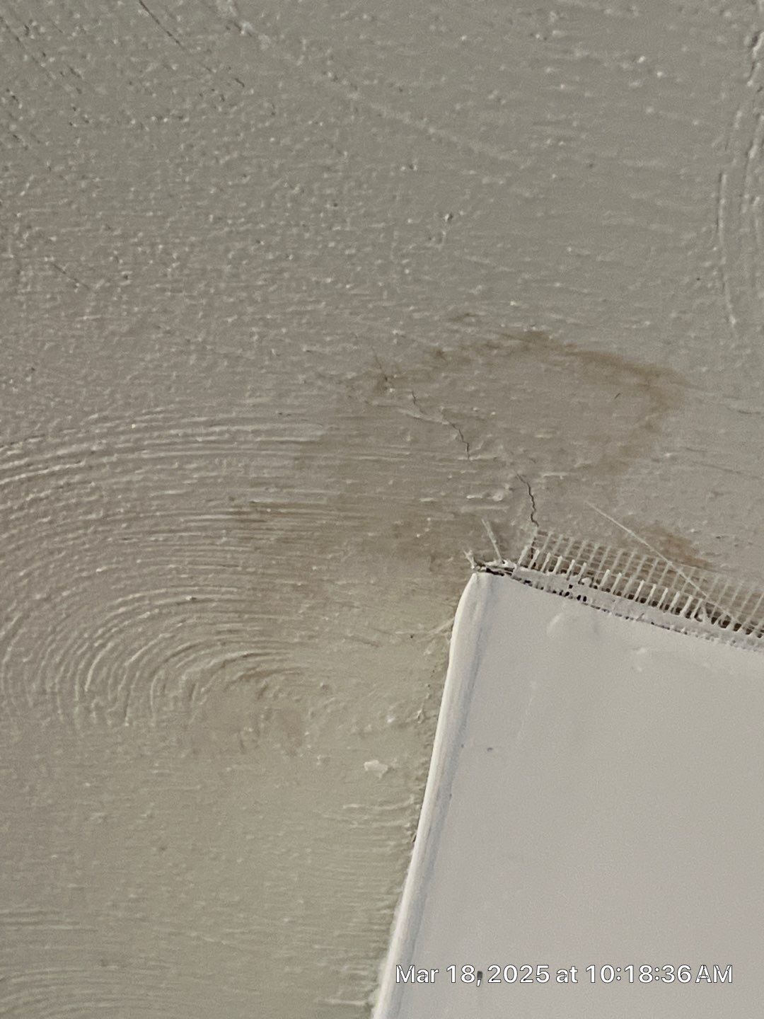 Mold Removal In Bradenton FL  by Ampm Restoration Services 
