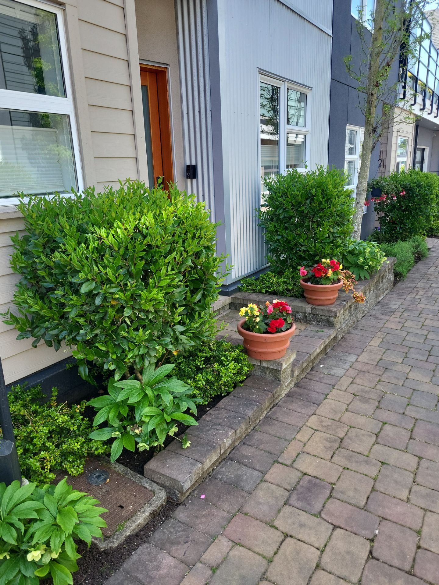 Sea Haven — Year-Round Strata Landscape Care by Habanero Landscape Solutions