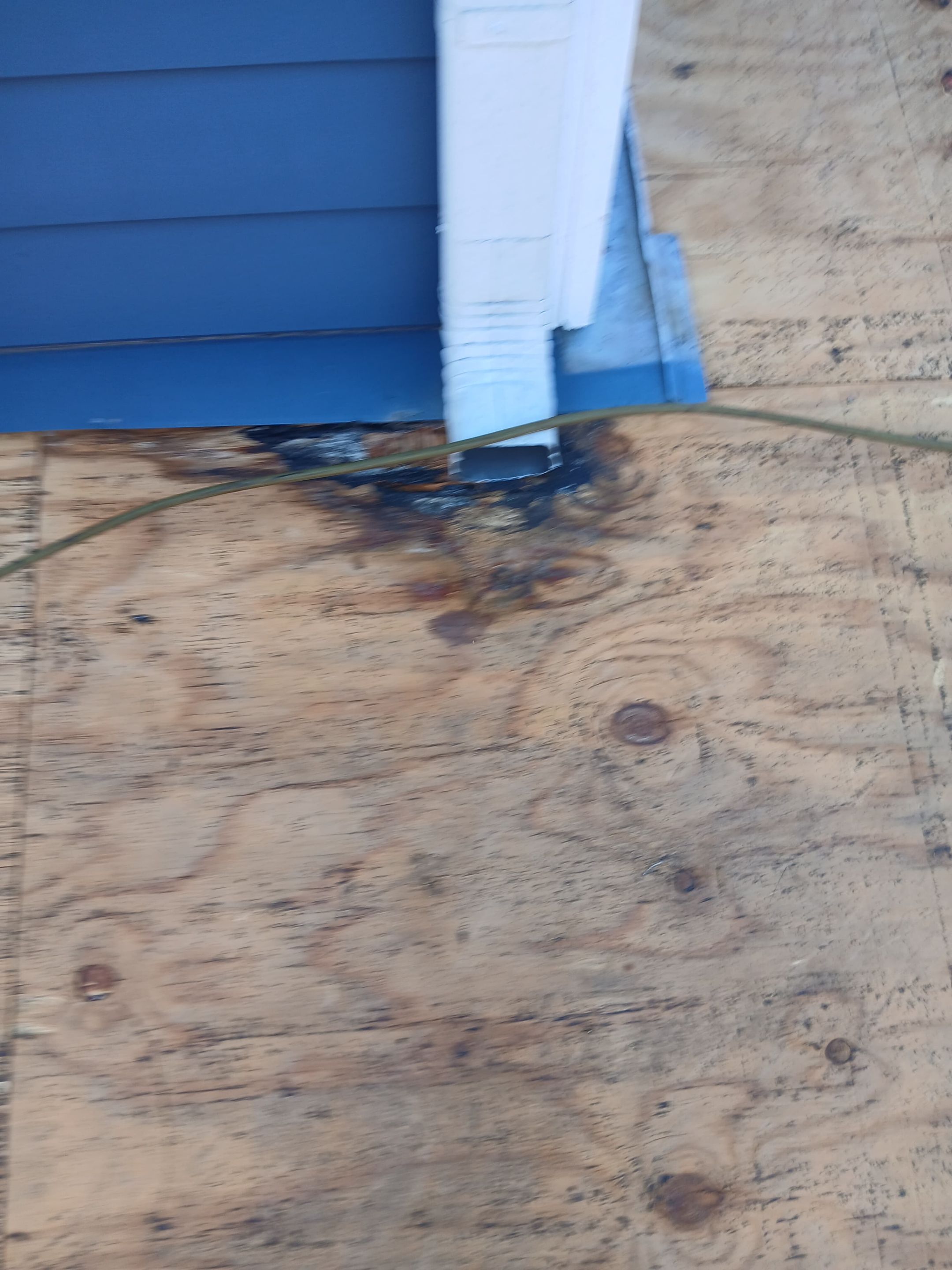 Custom skylights and all by REPS OF TEXAS