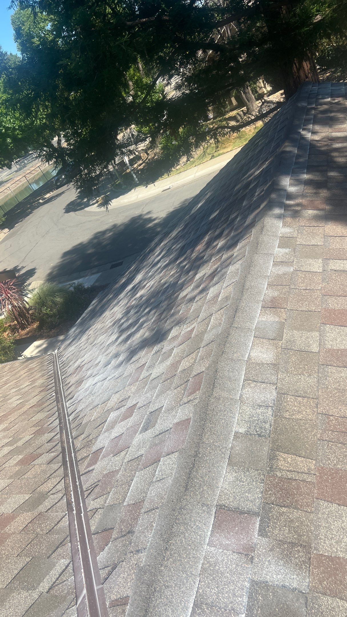 Roof Rejuvenation using Roof Maxx Treatment by Roof Maxx of Folsom
