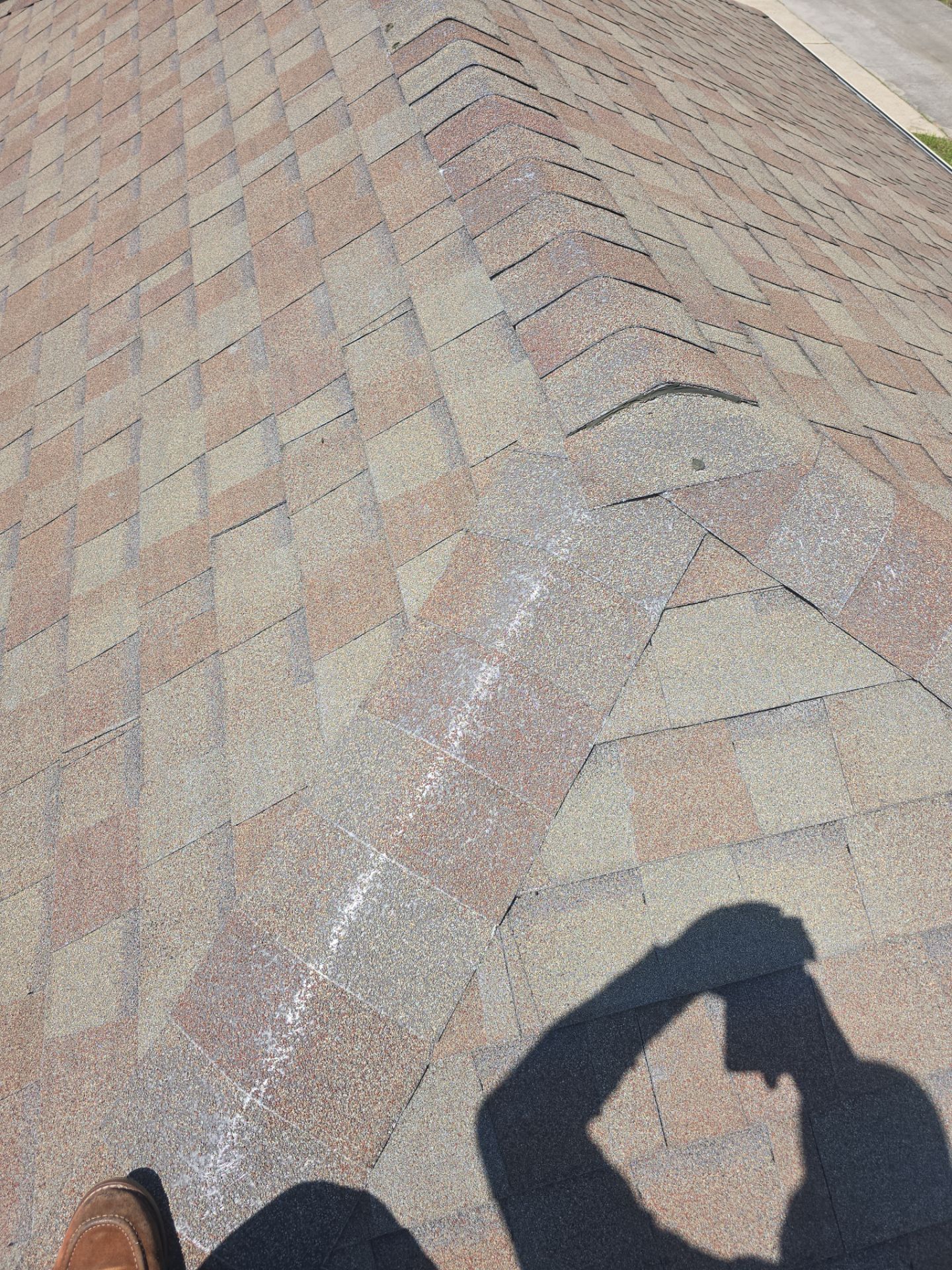 Roof Replacement Spring by Roof Repair Services LLC