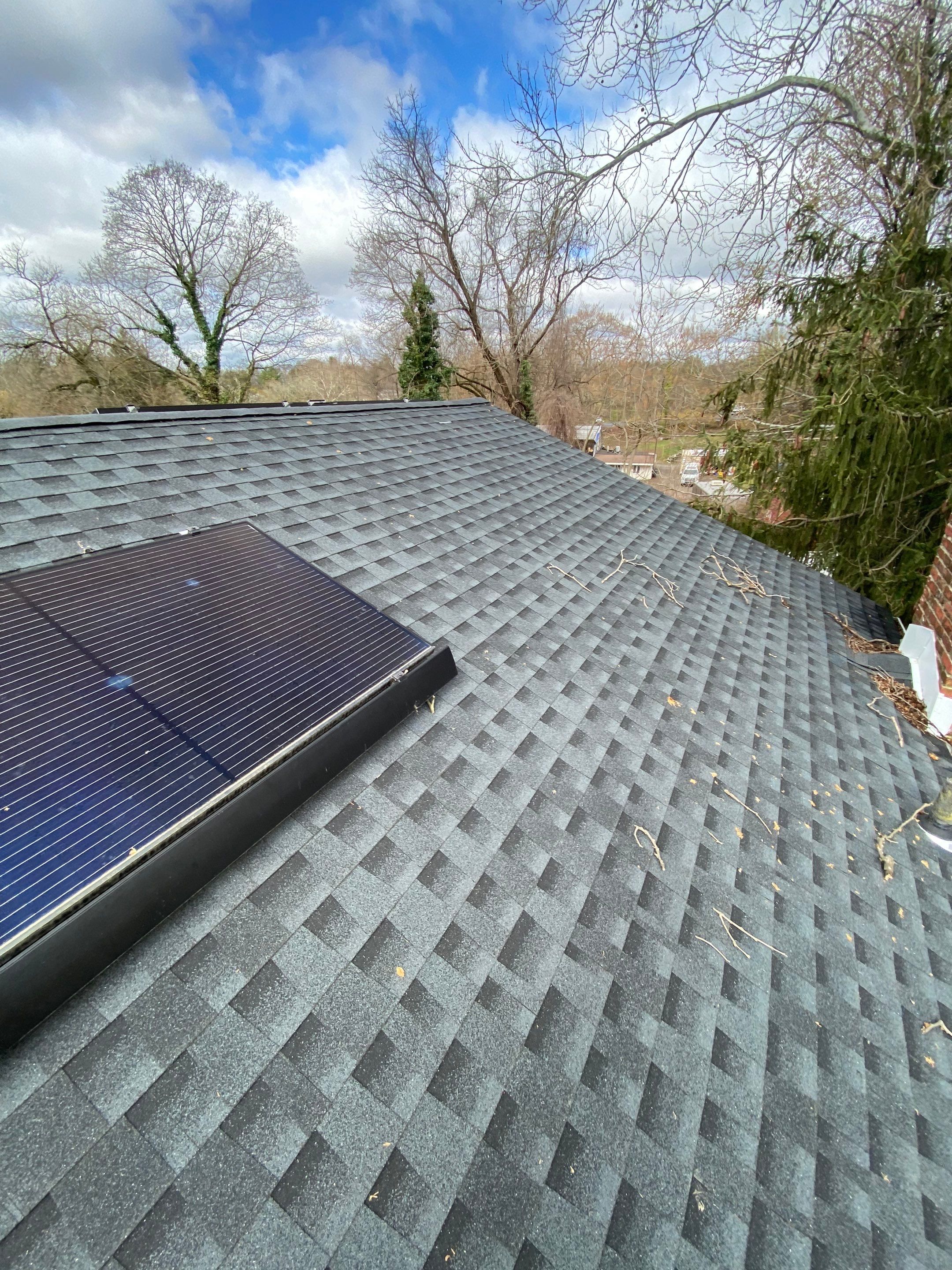 Silver Birch Shingles by Reimagine Roofing