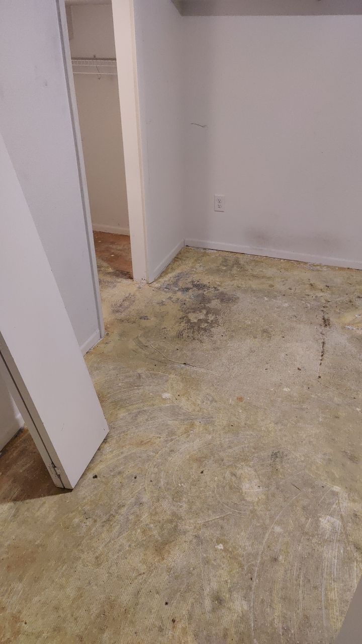 Water Damage by Accountable Home Services