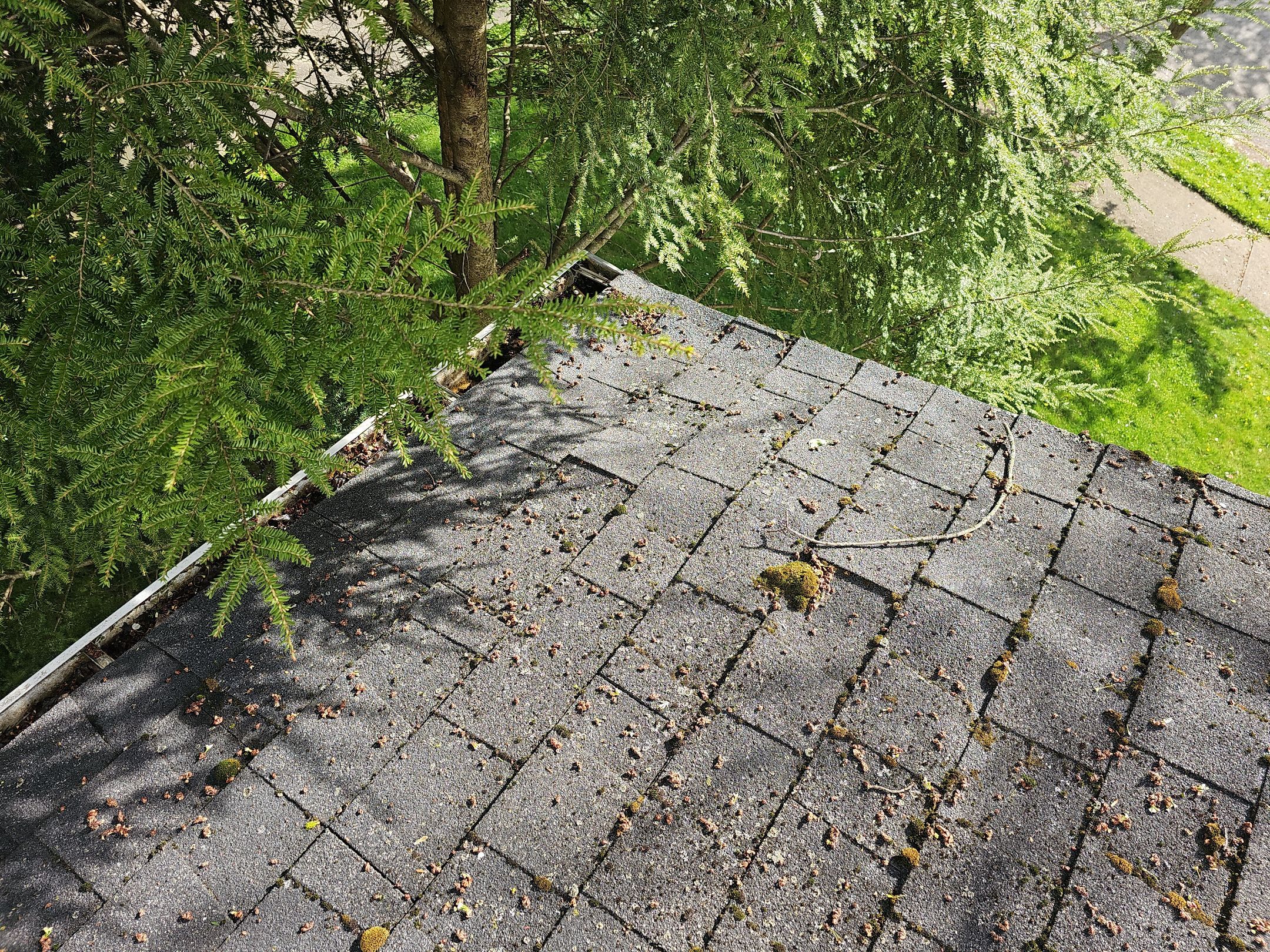 ATLAS PINNACLE COLOR: BLACK SHADOW by Eagle Eye Roofing