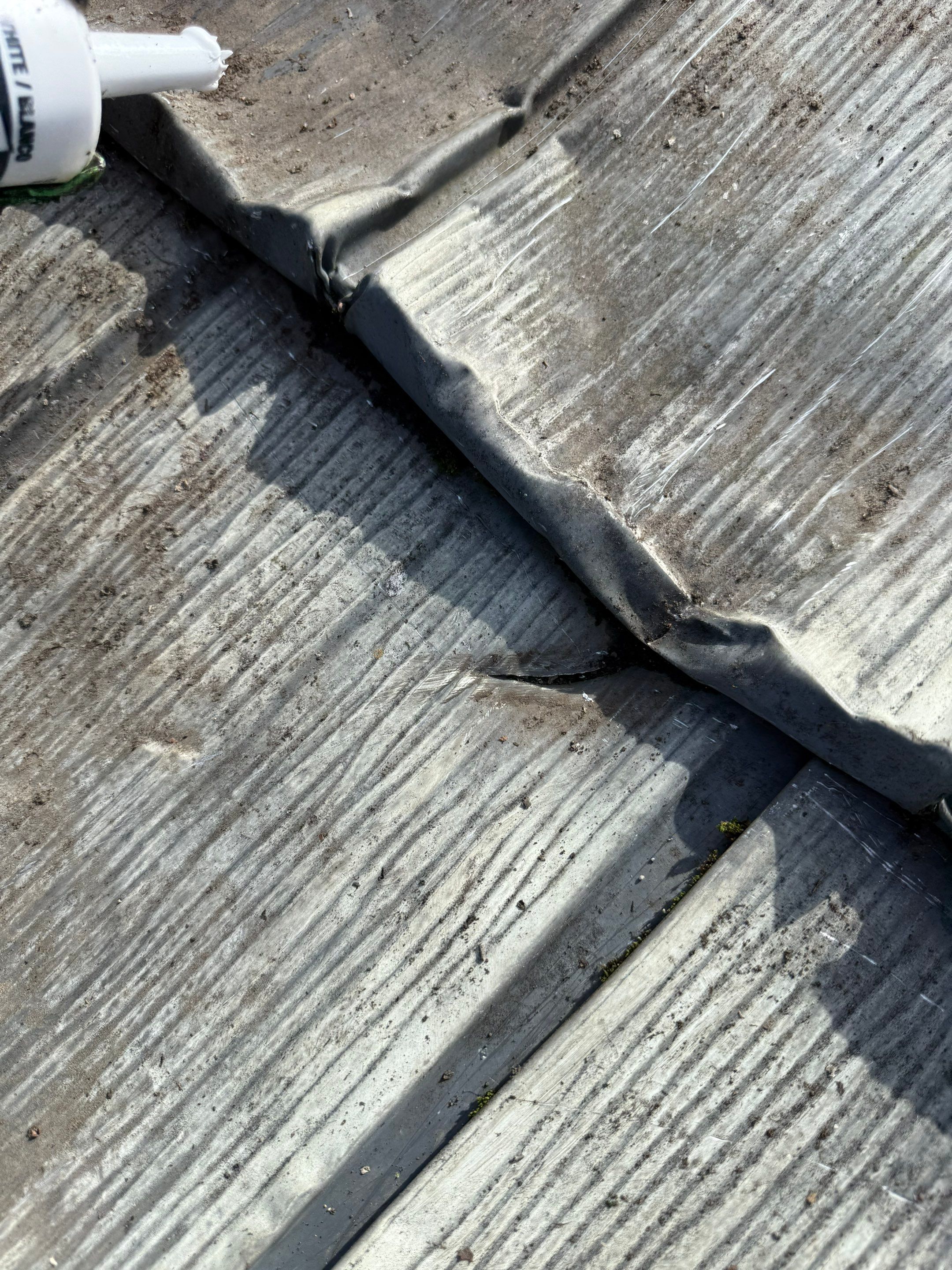 Residential Cleaning in Citrus Hights  by Nextop Roofing