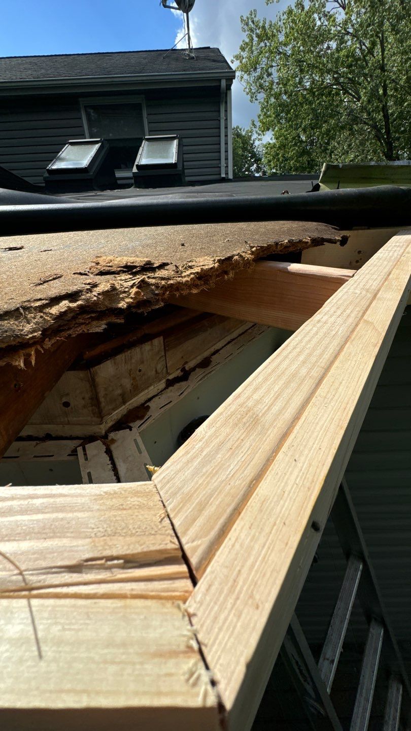 Alexandria: Residential Flat Roof Replacement with MuleHide TPO by RM Banning, Inc.