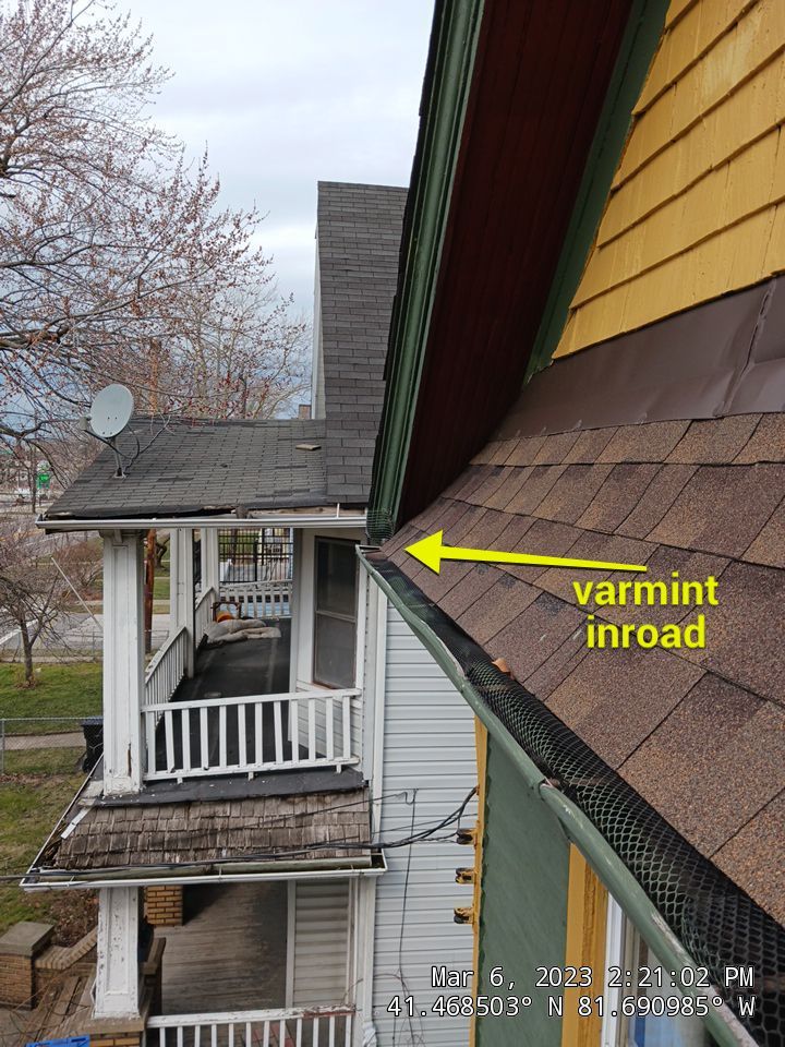 Roof Damage using structual repair and remodel by Absolute Roofing and Construction