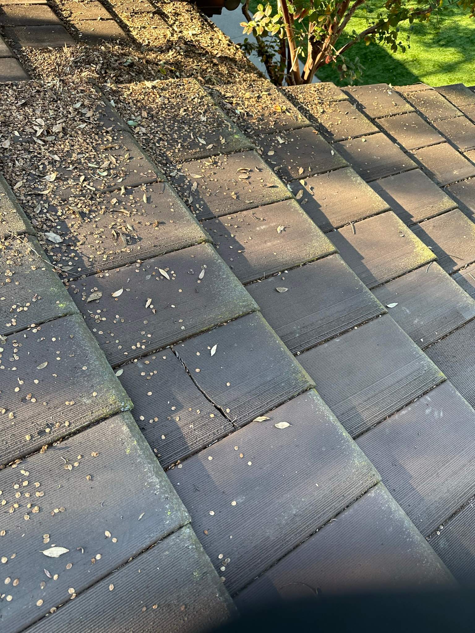 Orange County Gutter Cleaning by Property Cleaning Experts