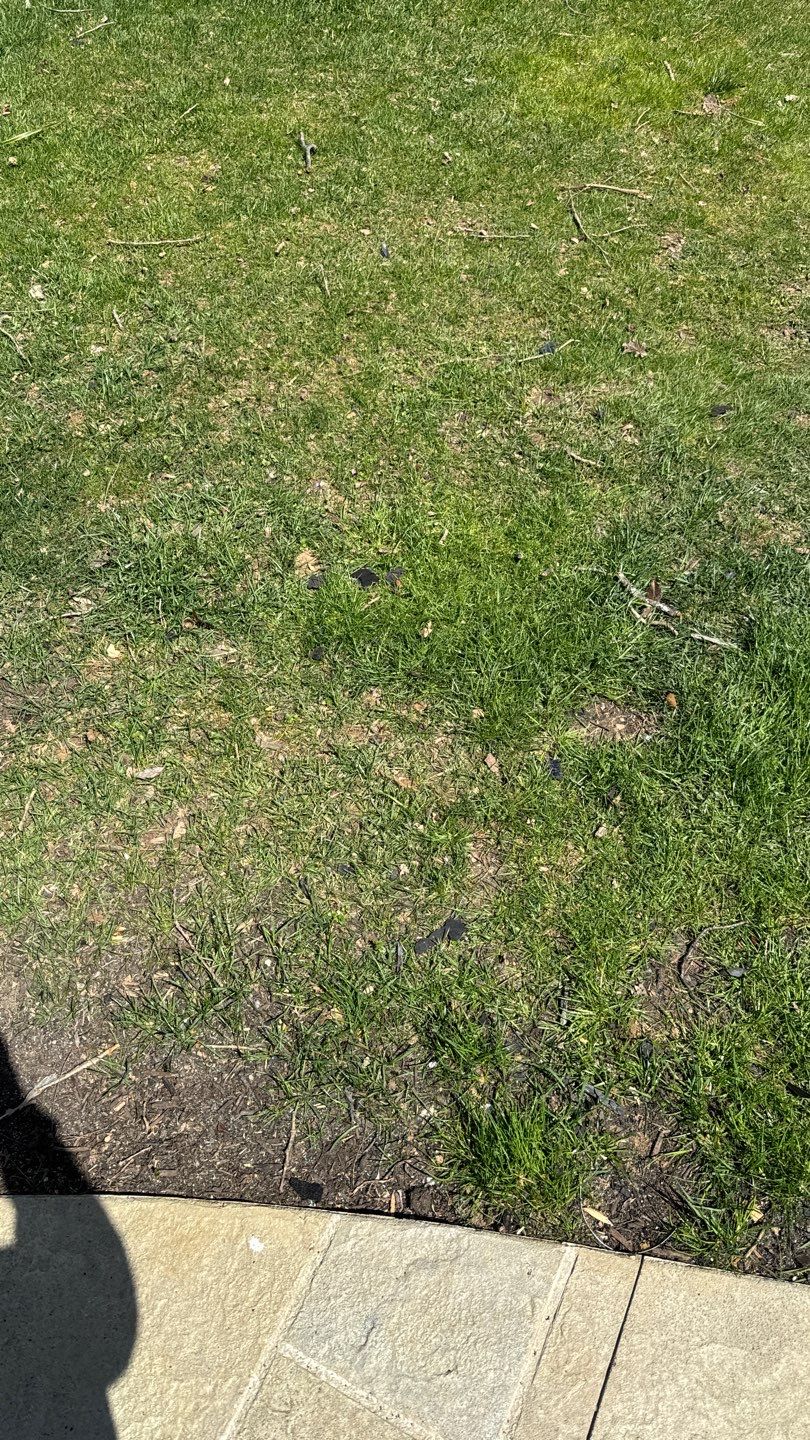 Burke: CertainTeed Landmark Pro Designer Shingles in Max Def Weathered Wood by RM Banning, Inc.