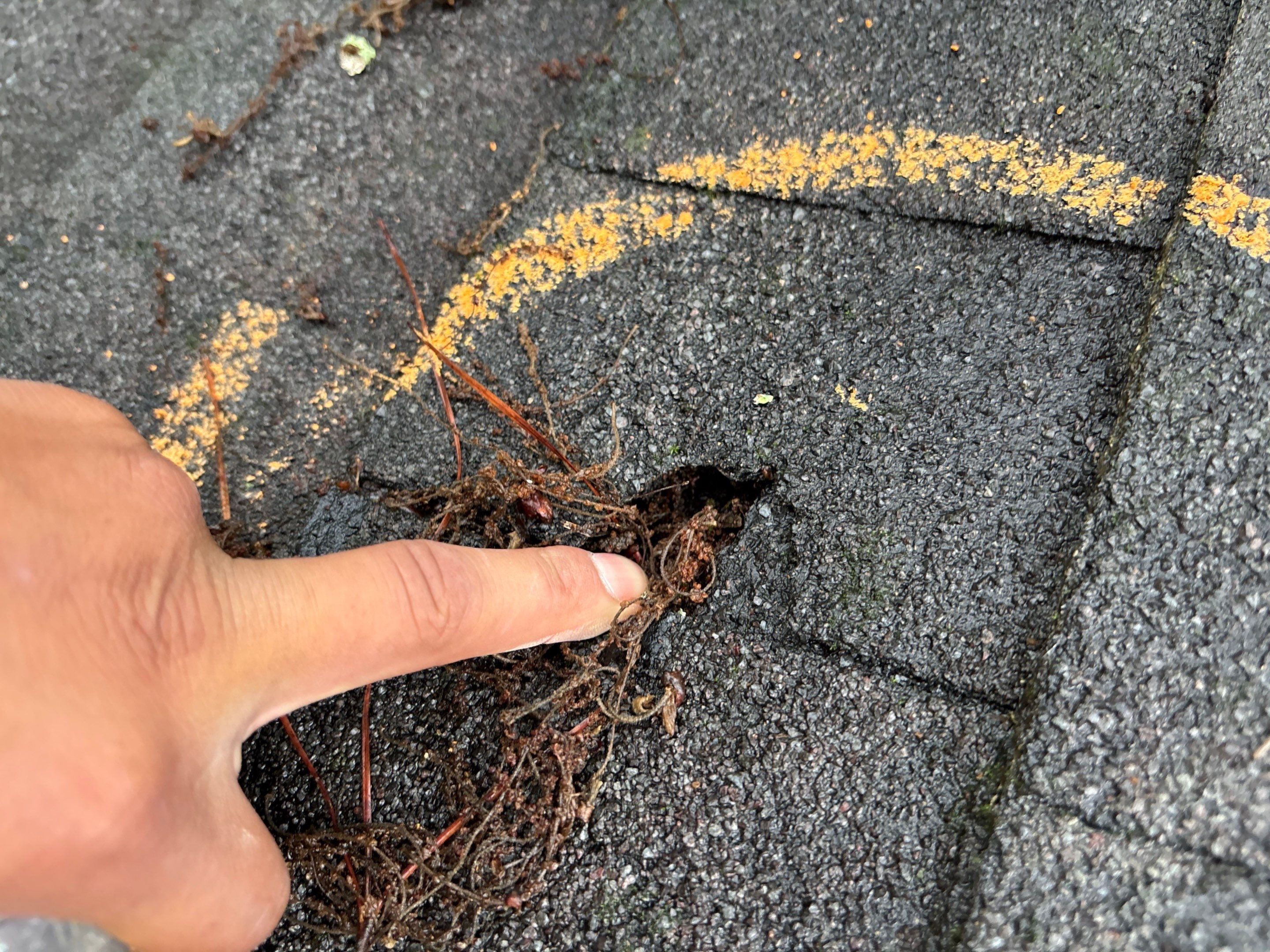 Roof replacement by Deerfield Roofing LLC