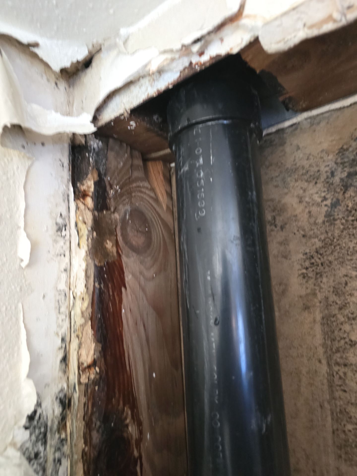 Installation of New Black Pipes and Shower Valve Repair by Us Plumbing