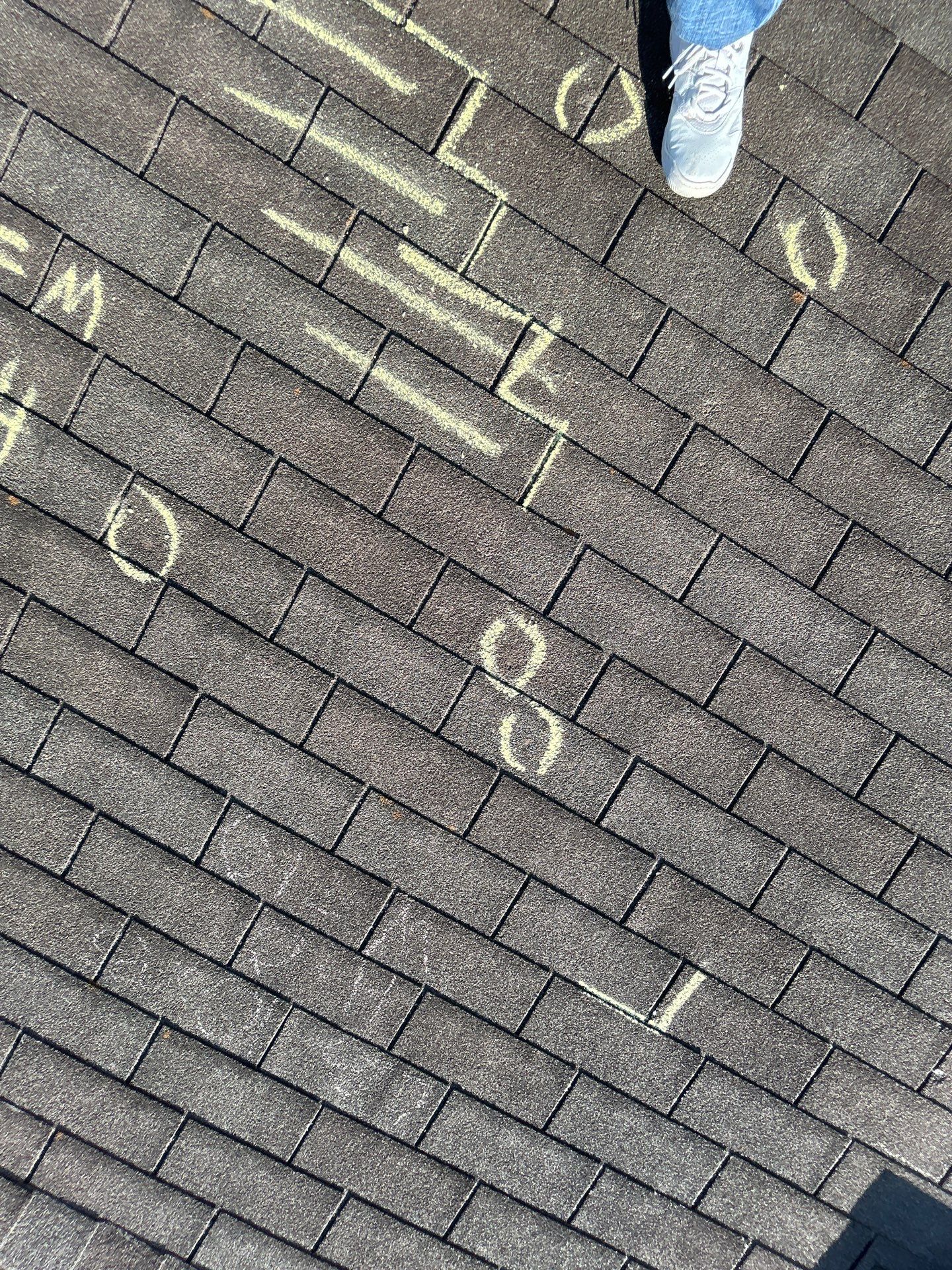 Miss Bridgette by REPS Austin Area Roofer