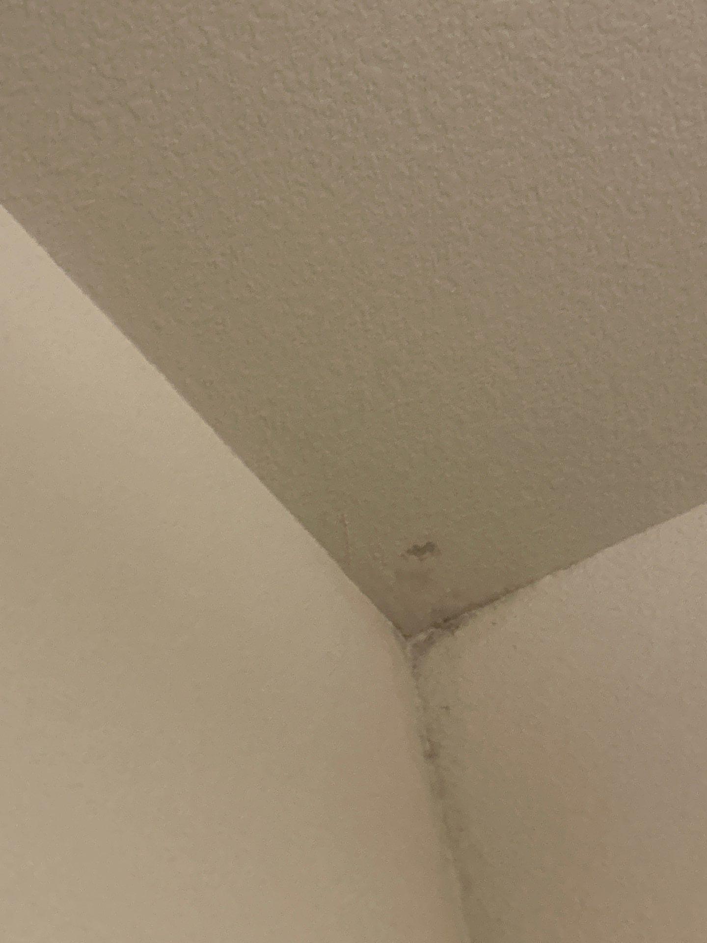 Hail Damage using Owen's Corning Duration (Lifetime) Shingles by Roof Repair Company