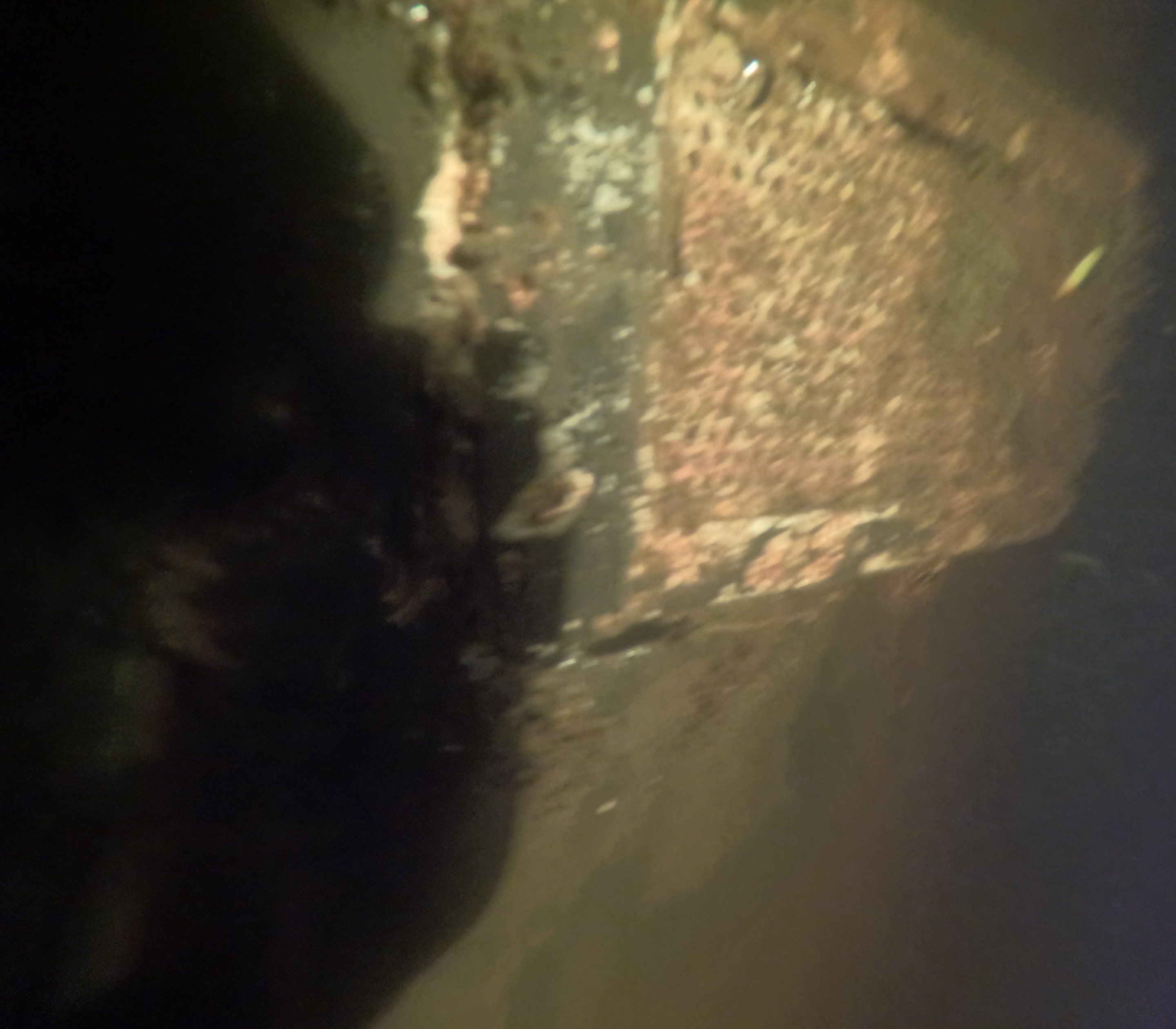 Project in North Fort Myers, FL by Florida Hull Cleaning 