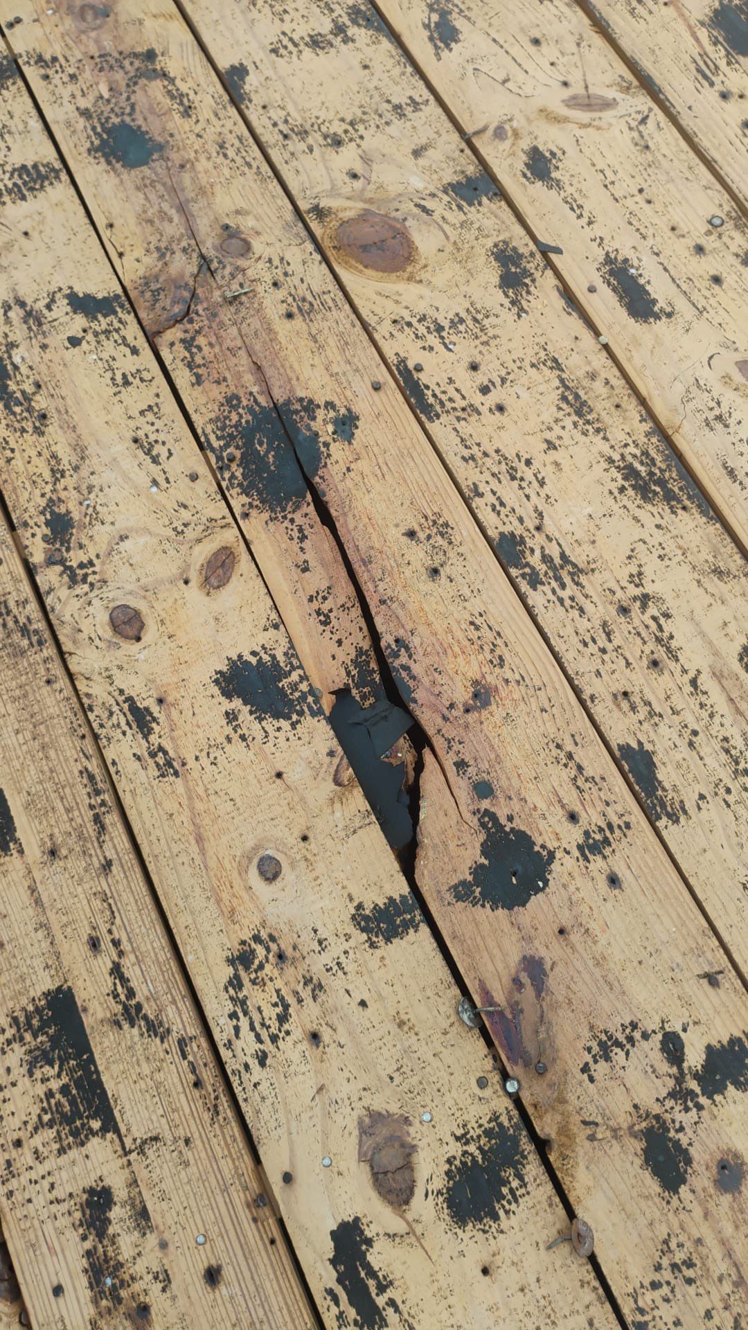 Project in Seminole 33772 by Mitchell Roofing Company LLC 