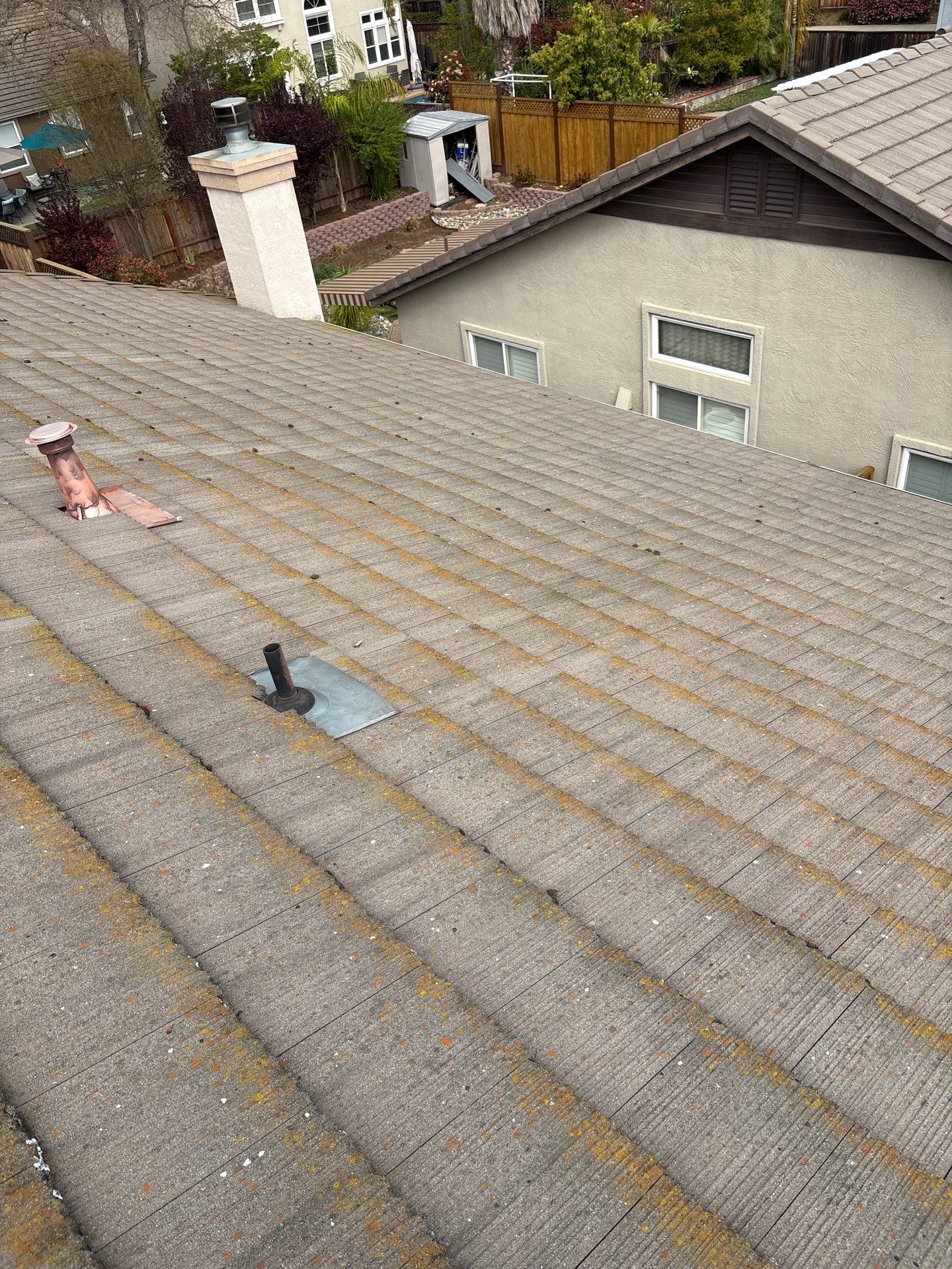 Moss Removal by Top Elevation