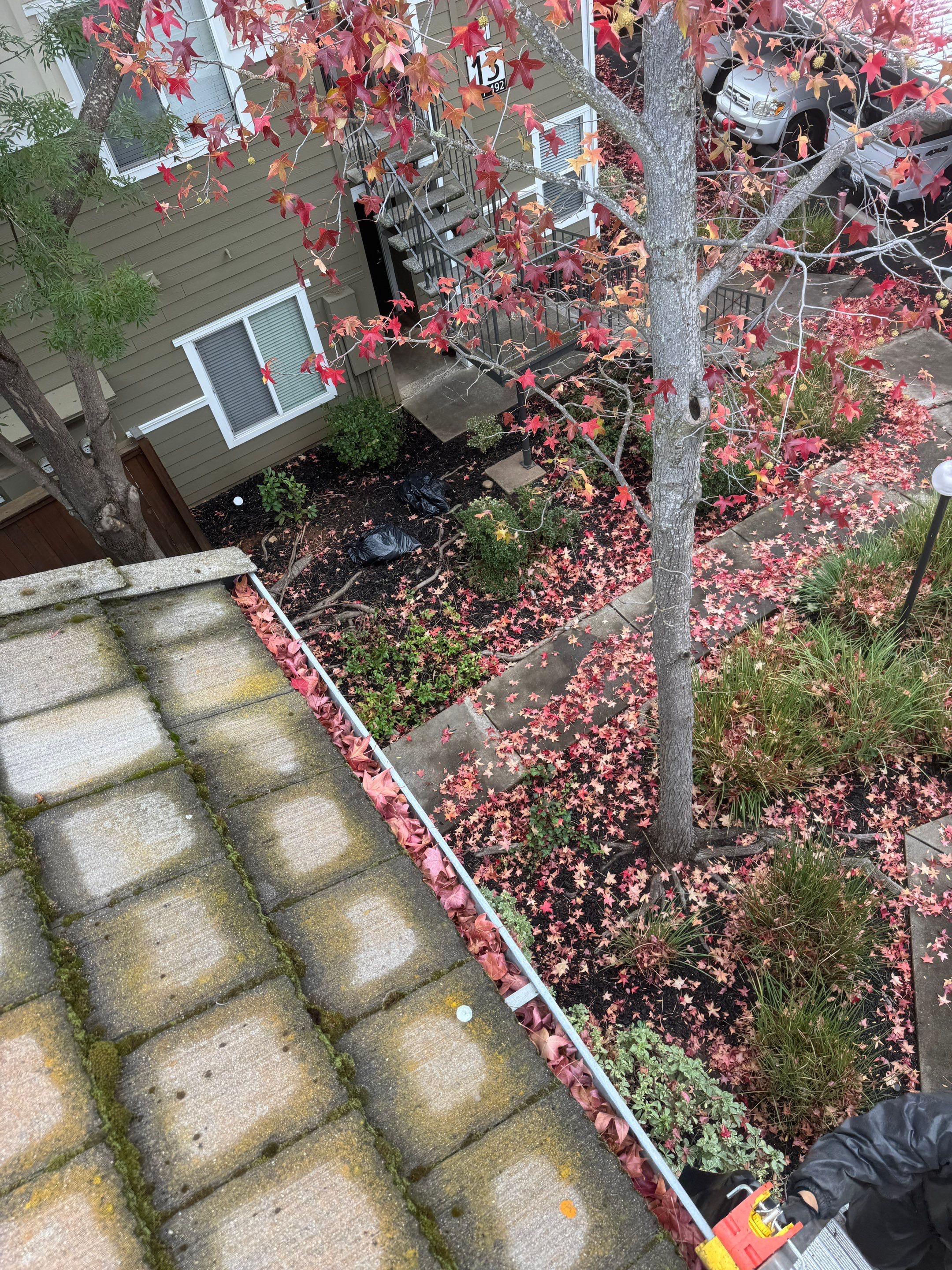 Commercial gutter cleaning Folsom & El Dorado Hills, CA before photo with filled gutters