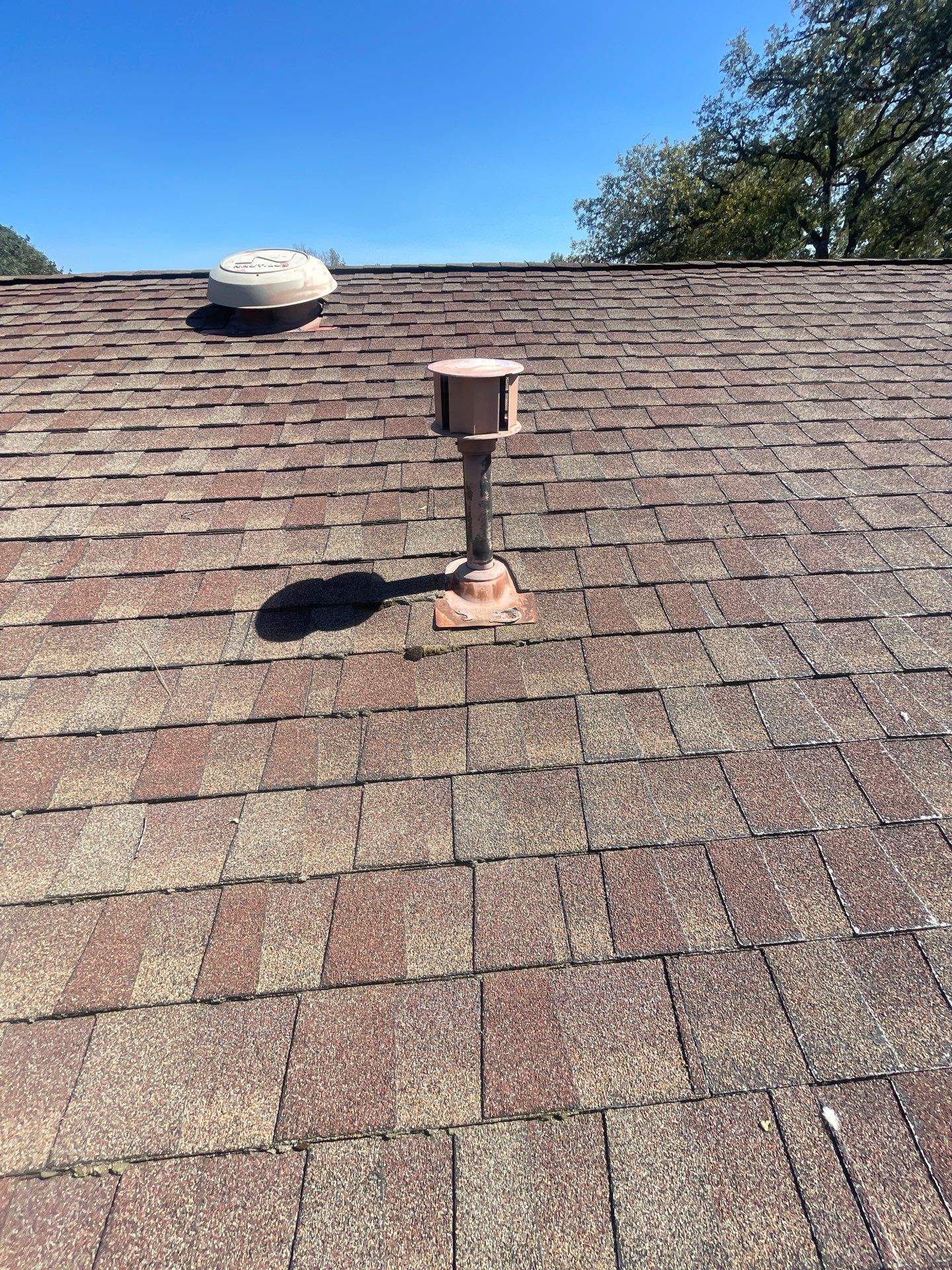 Roof Rejuvenation using Roof Maxx Treatment by Roof Maxx of Folsom