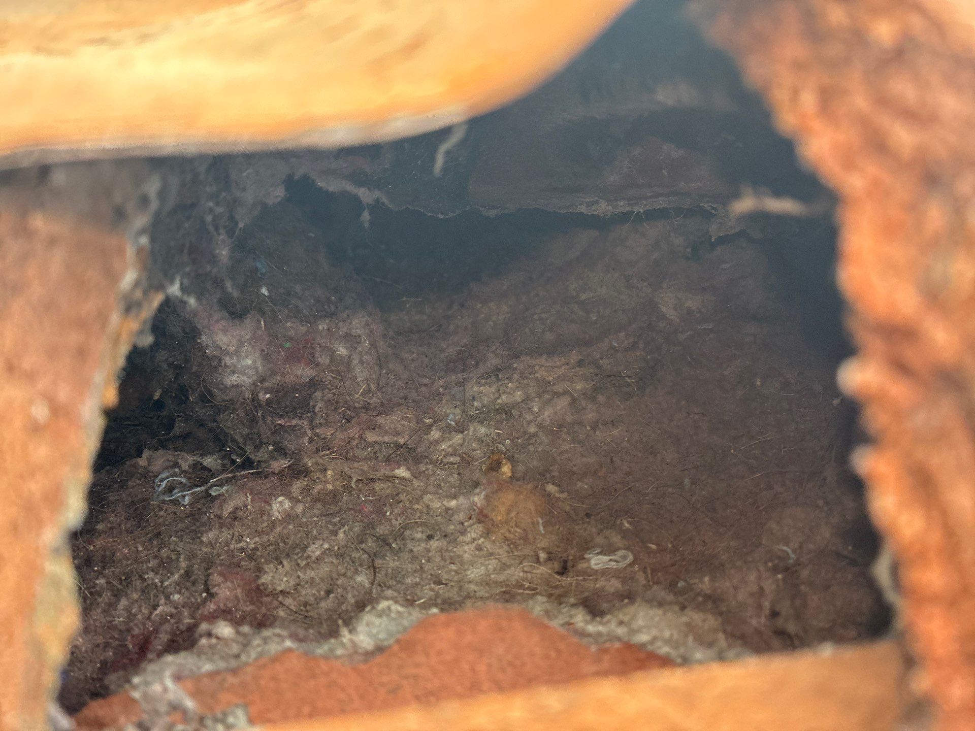 Air Duct Dryer Vent Cleaning in Orlando by Hygienic Air, Inc