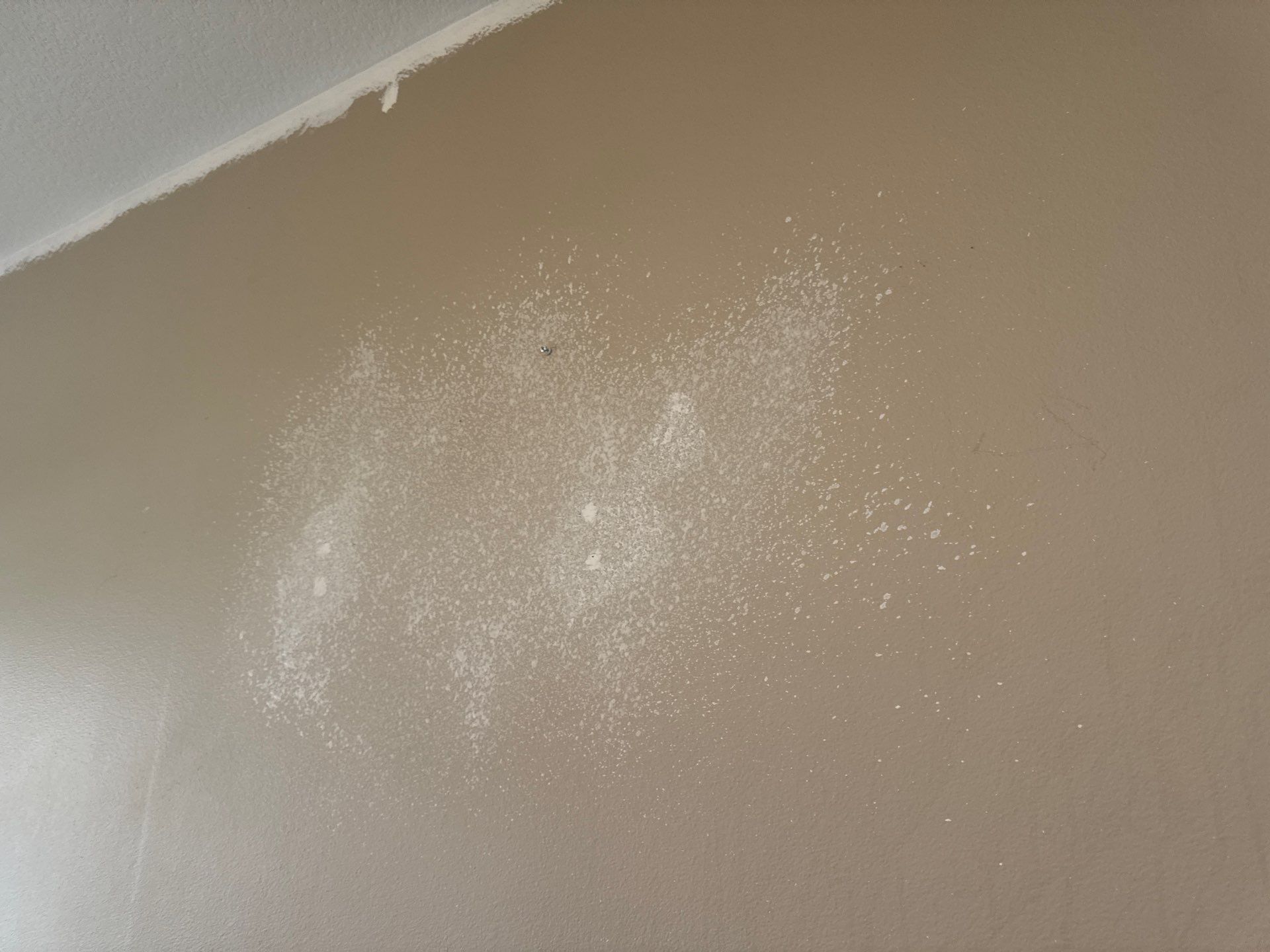 Project in Des Moines by Midwest Paint LLC