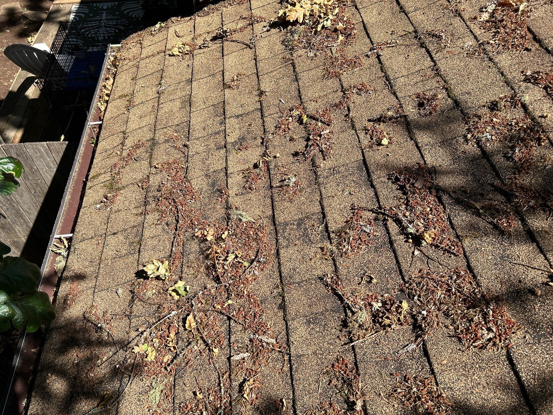 Roof Replacement in Corvallis by Prodigy Roof Solutions