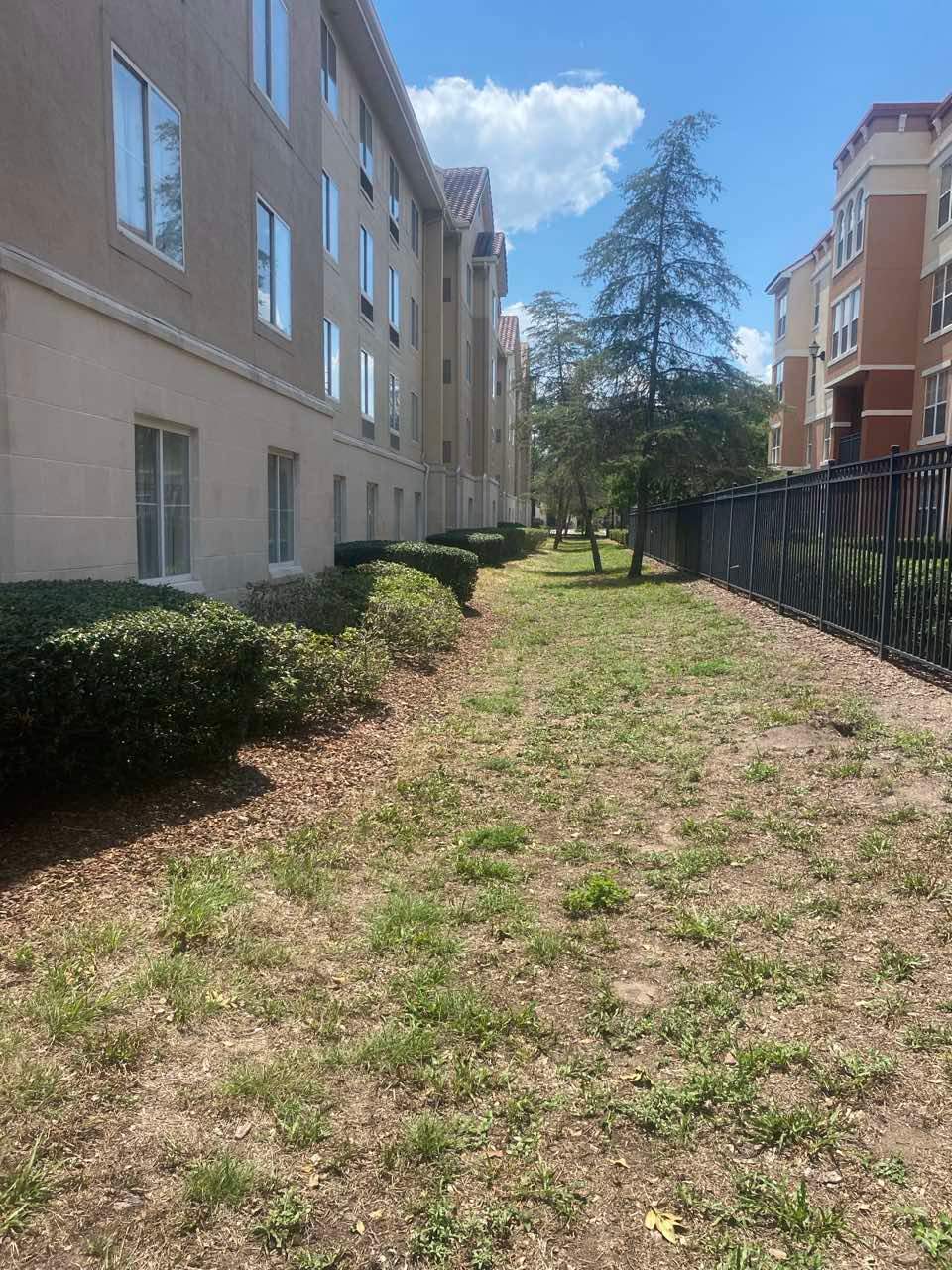 Homewood Suites | Tree Service by ProGreen Services